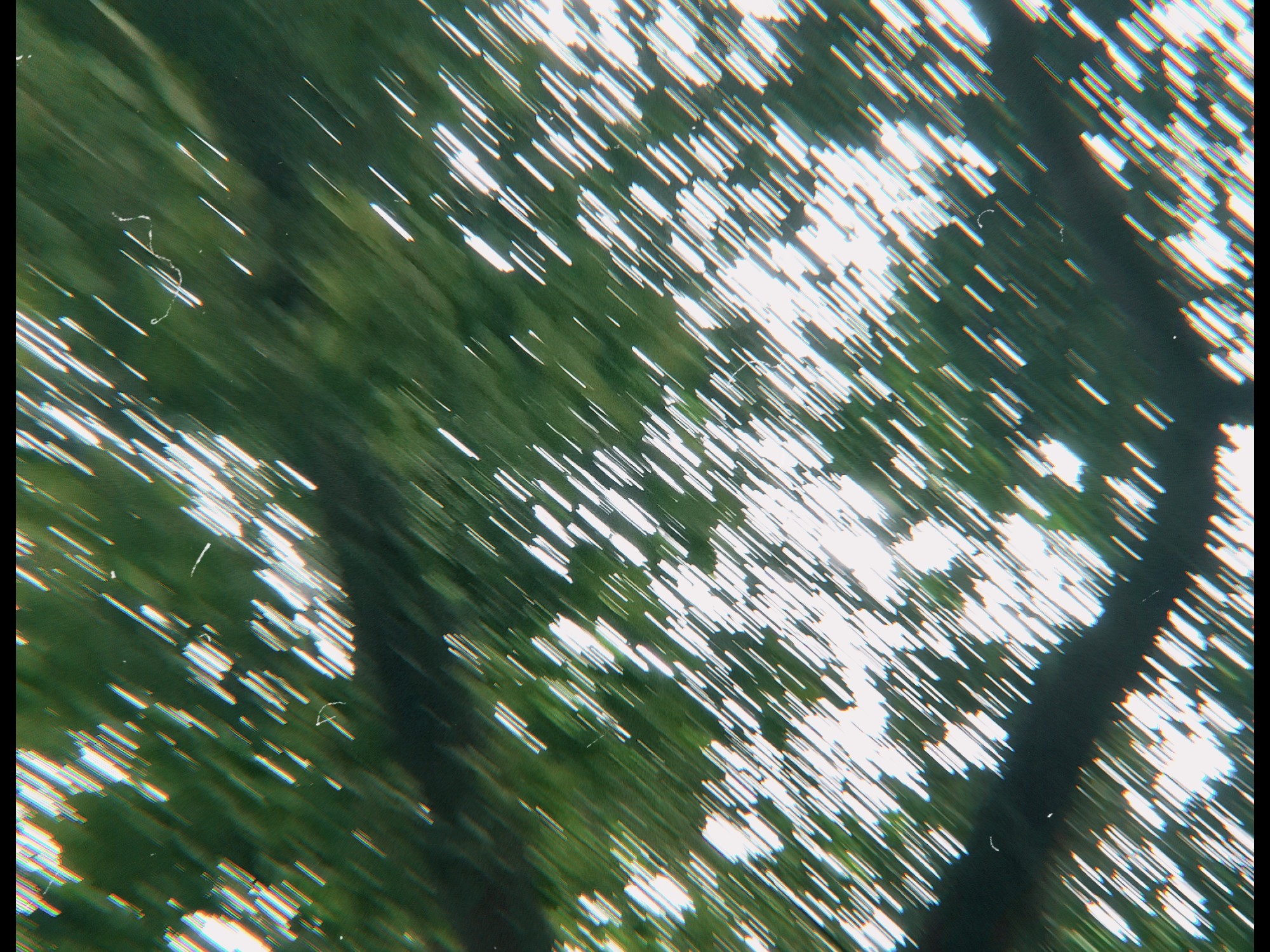 20210420-17--1373491255.jpg