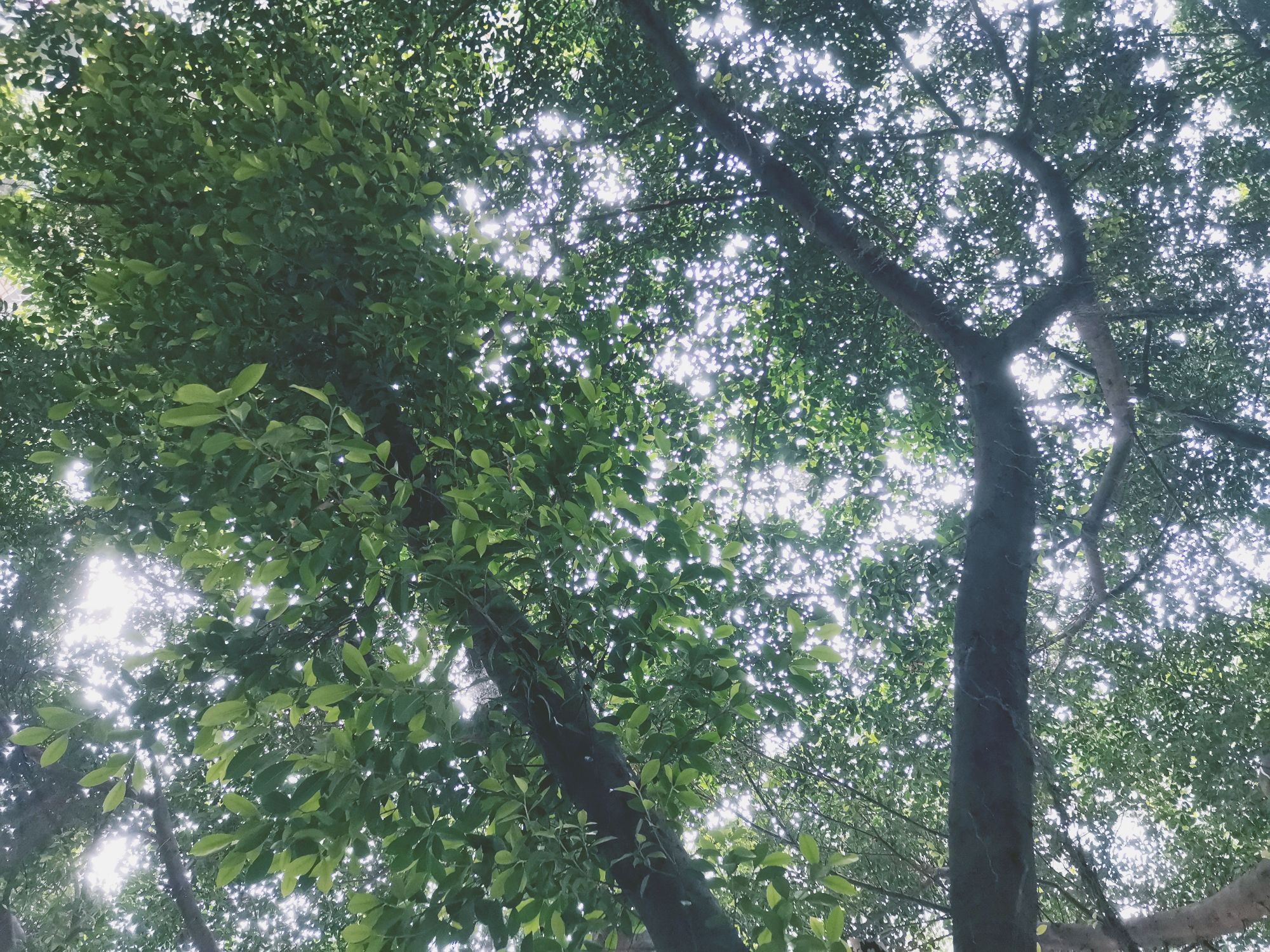 20210420-17-202522704.jpg