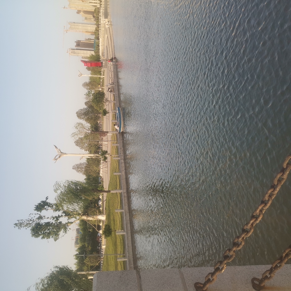 IMG_20210505_181707_BURST004.jpg