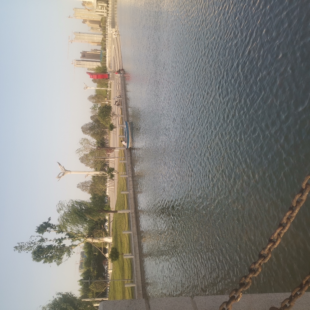 IMG_20210505_181707_BURST007.jpg