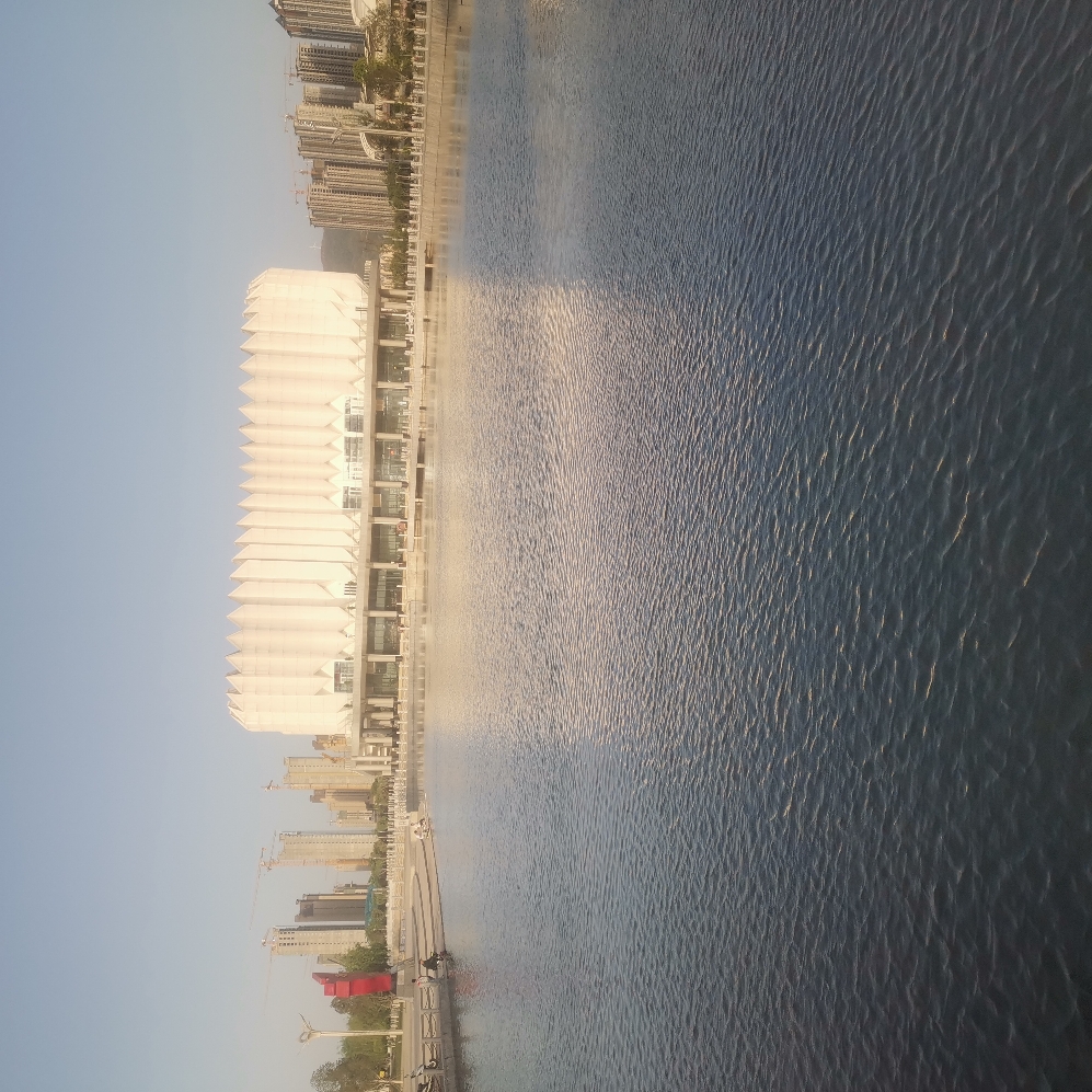 IMG_20210505_181707_BURST037.jpg