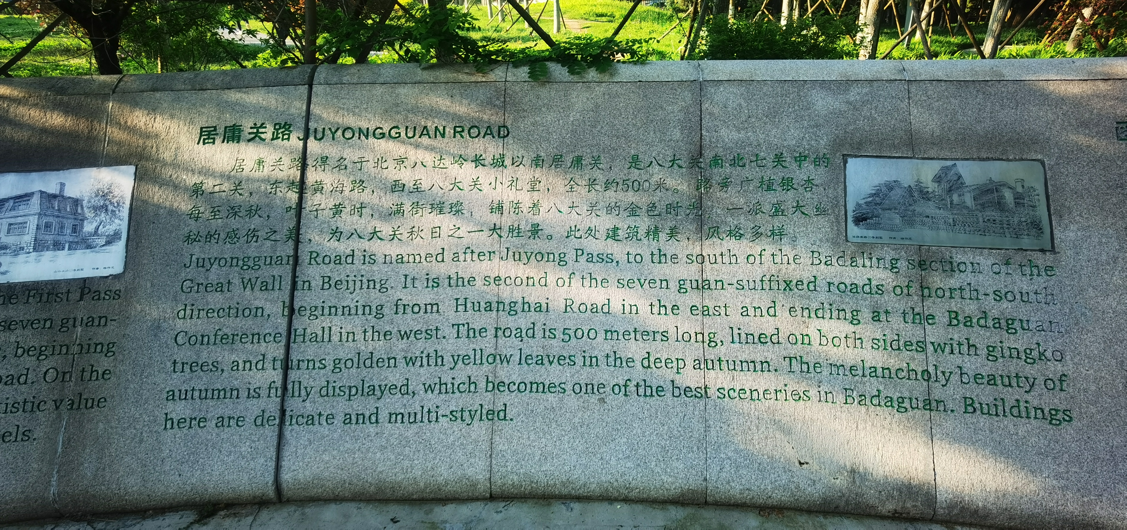 IMG_20210518_172056.jpg