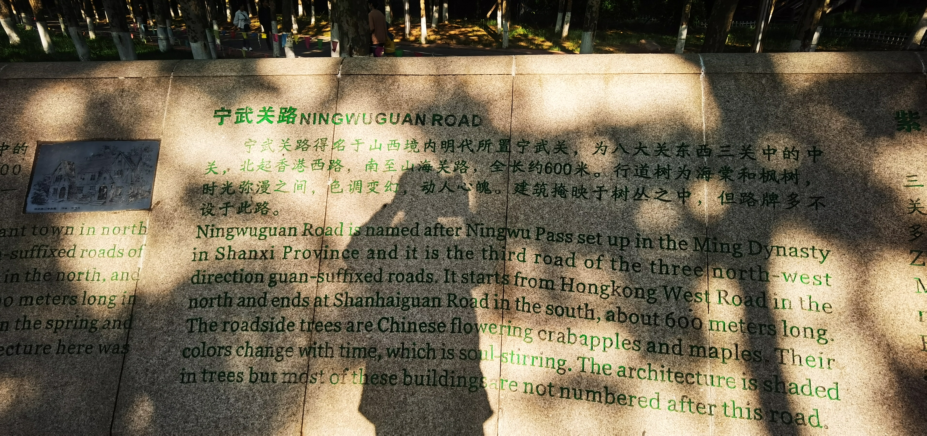 IMG_20210518_171908.jpg