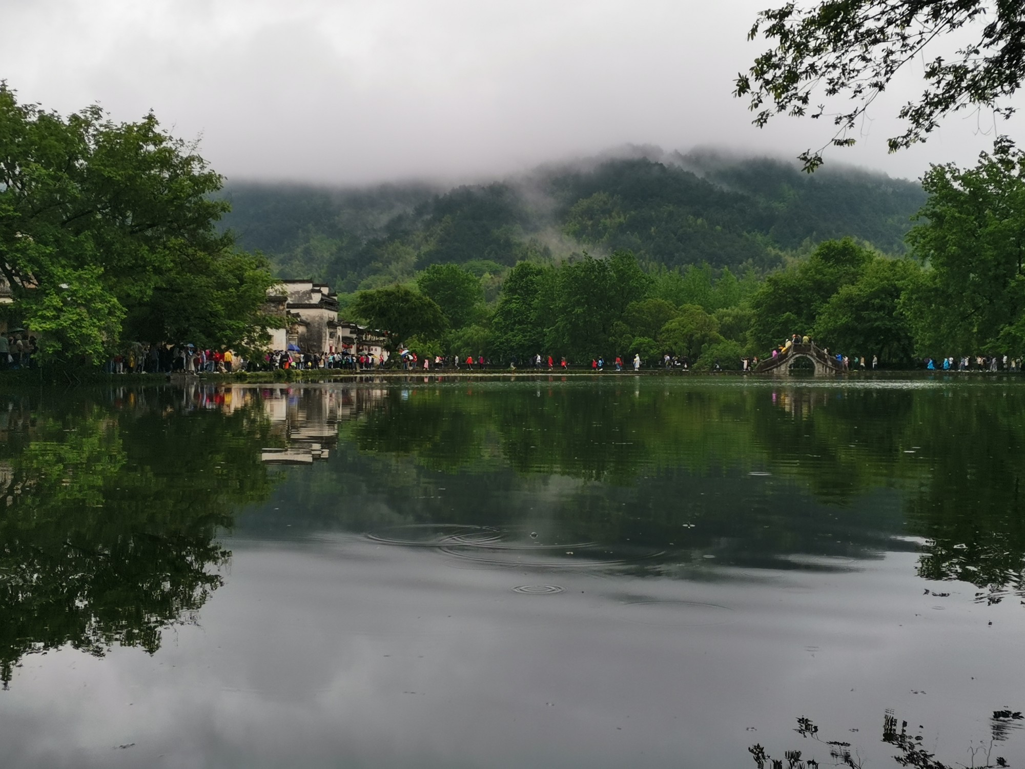 IMG_20210504_090130.jpg