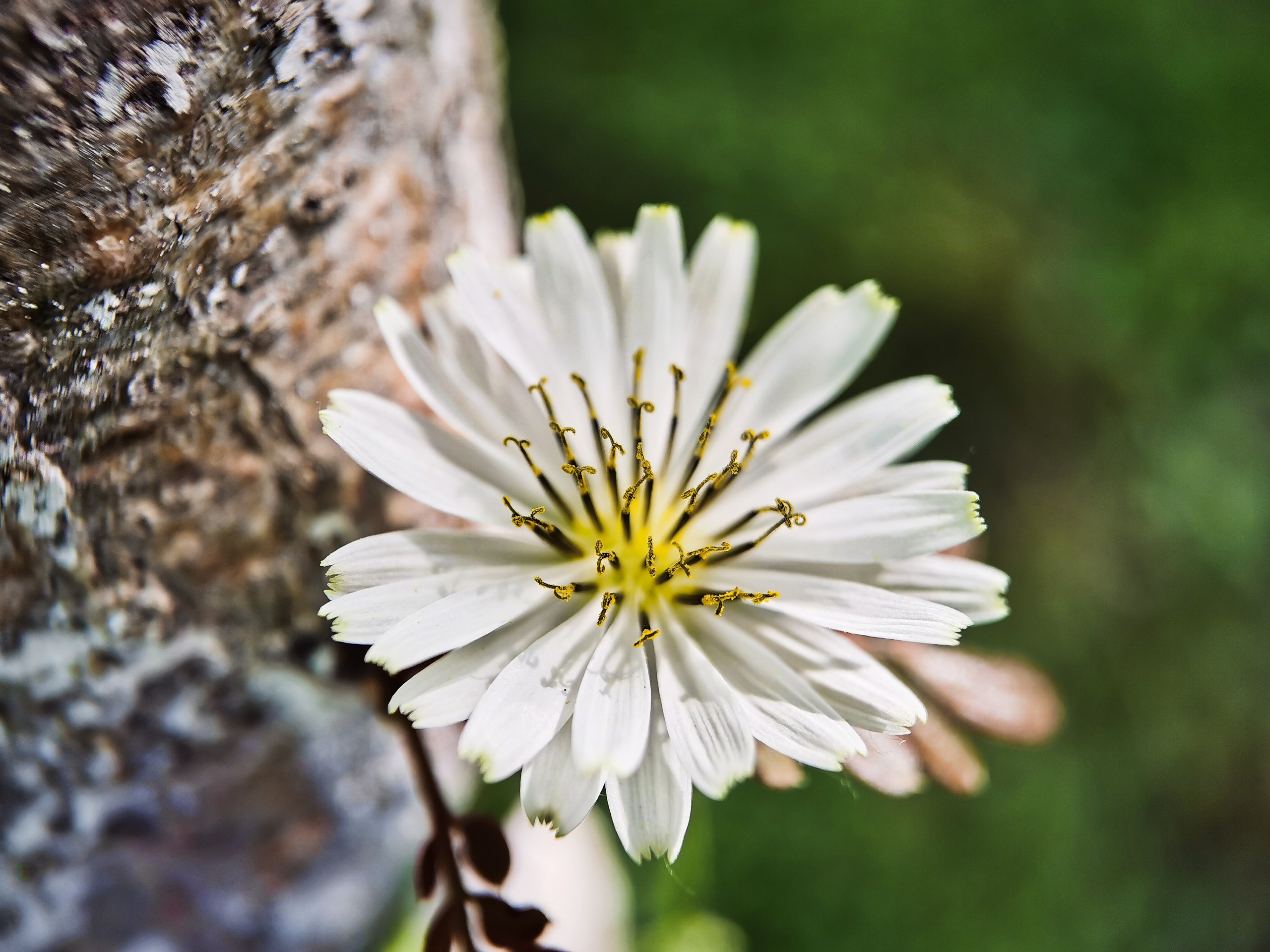 IMG_20210517_151037_polarr.jpg