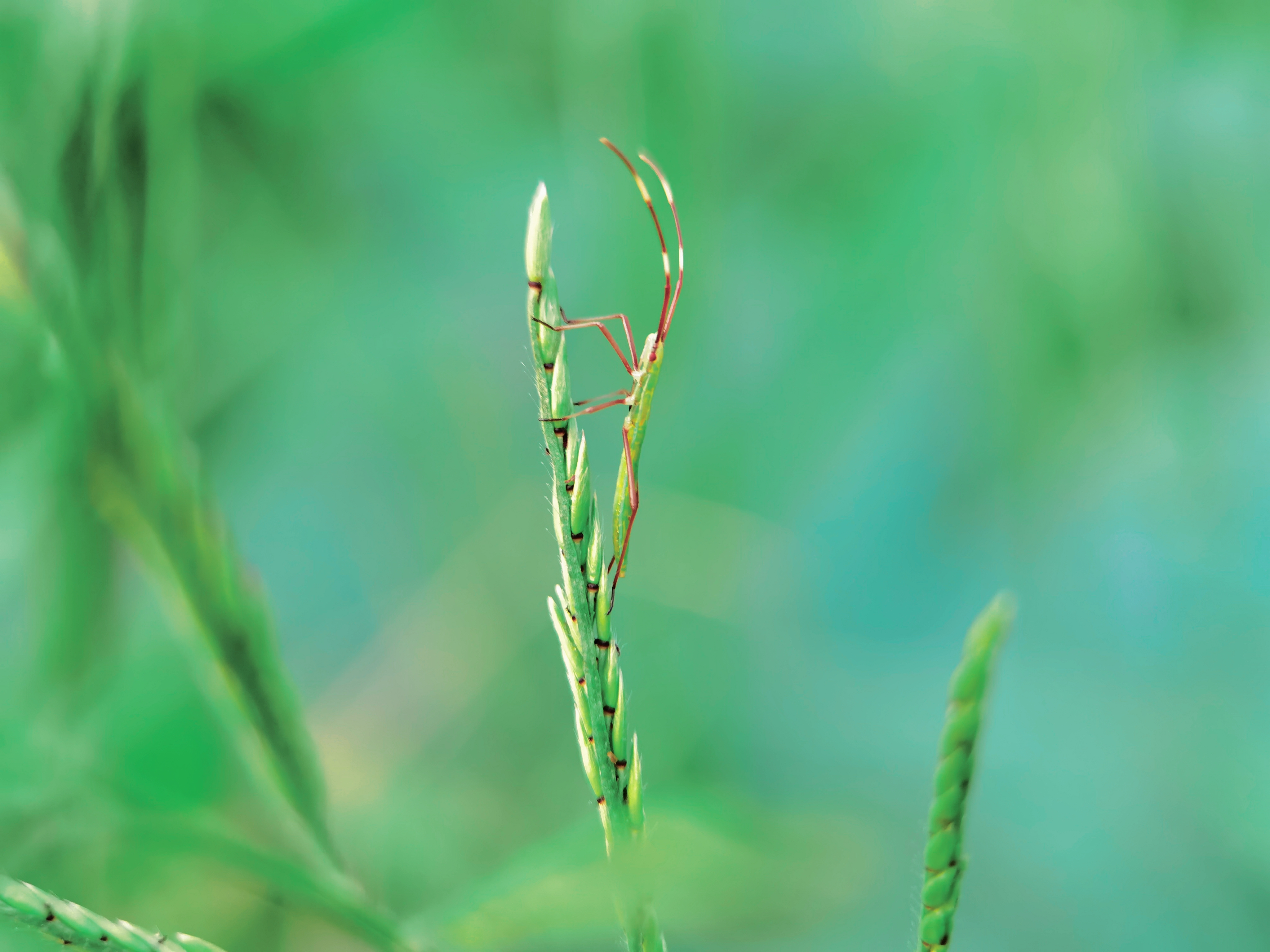 retouch_20210520152338.jpg