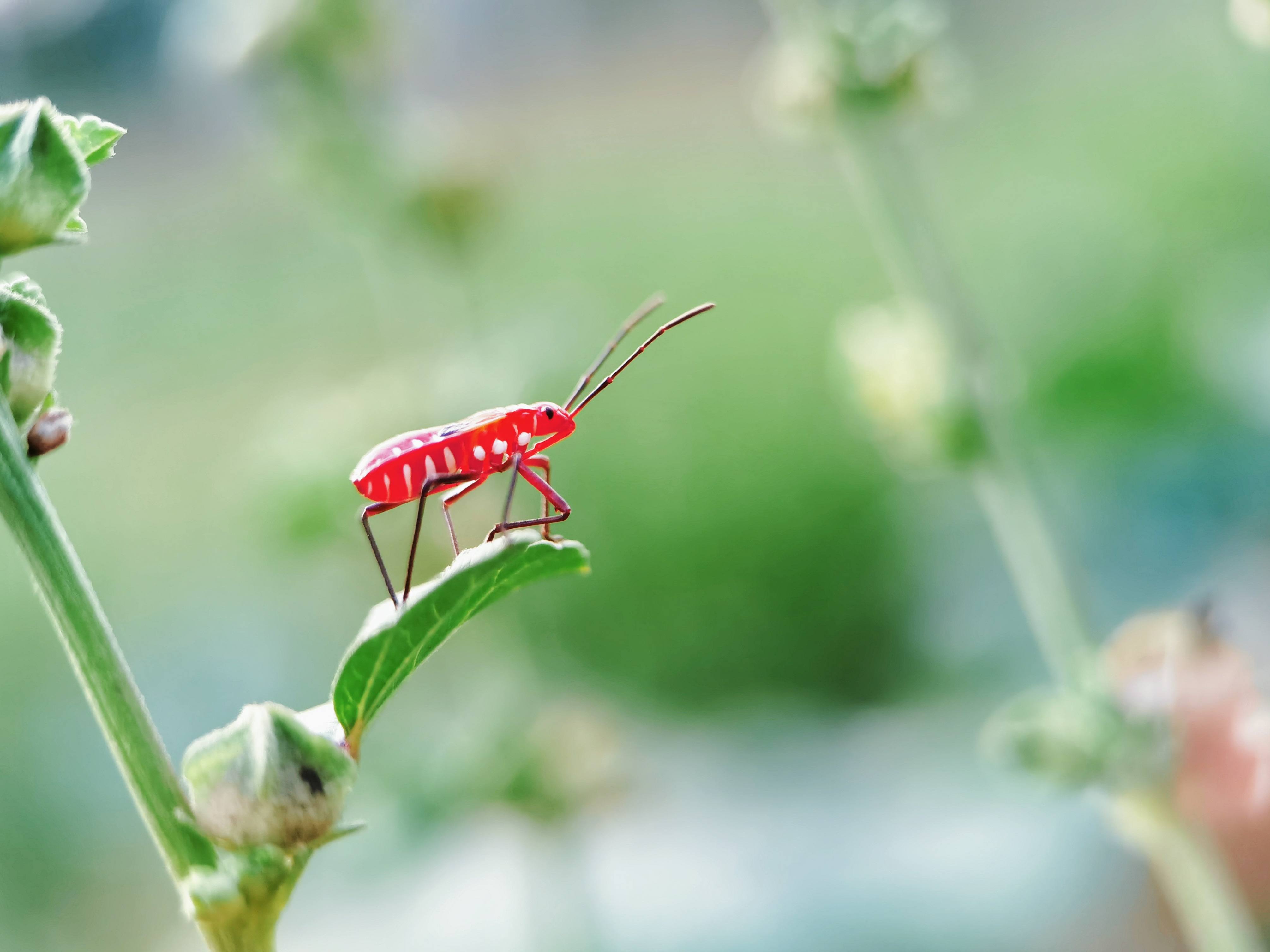 retouch_20210520153541.jpg