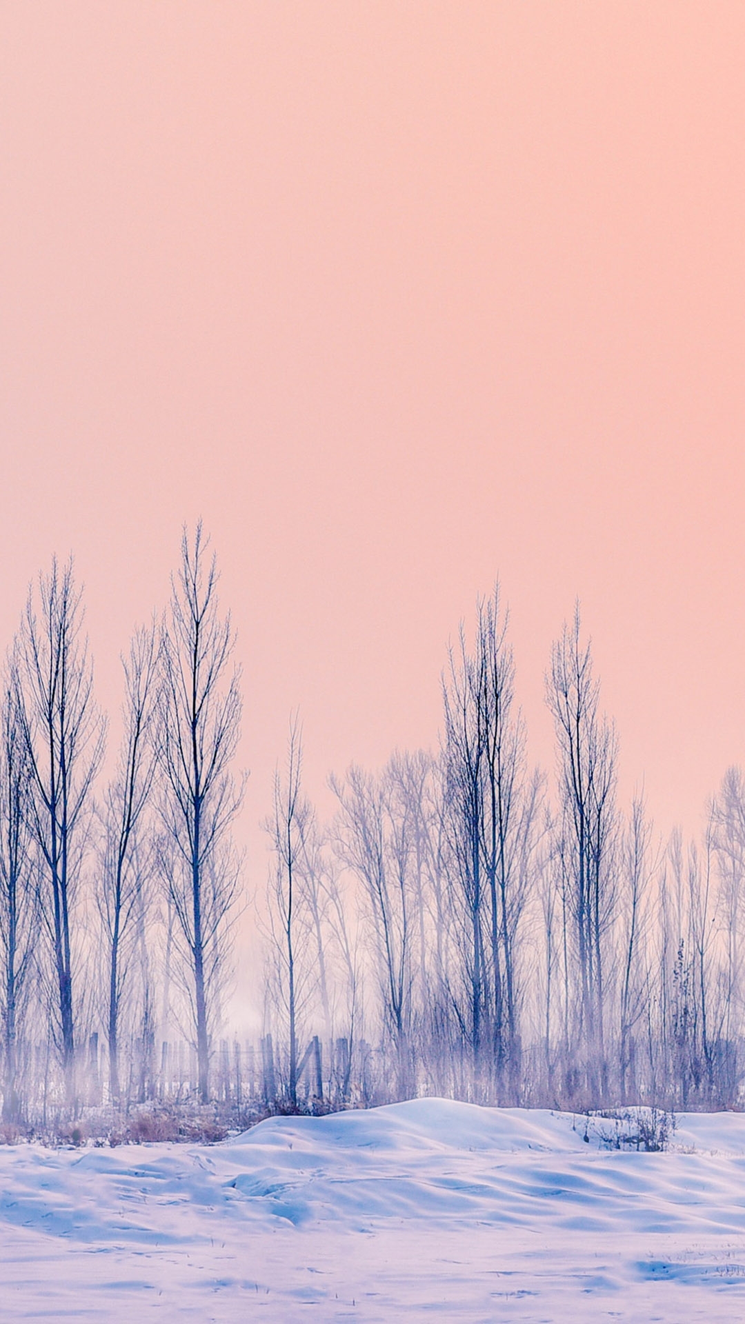 qk_wallpaper_20215171379.jpg