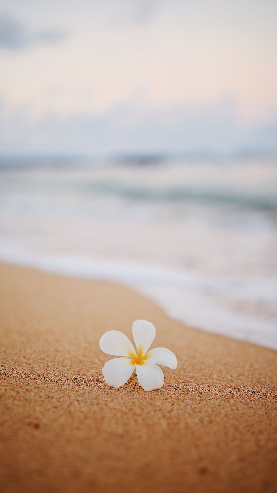 qk_wallpaper_202151713651.jpg