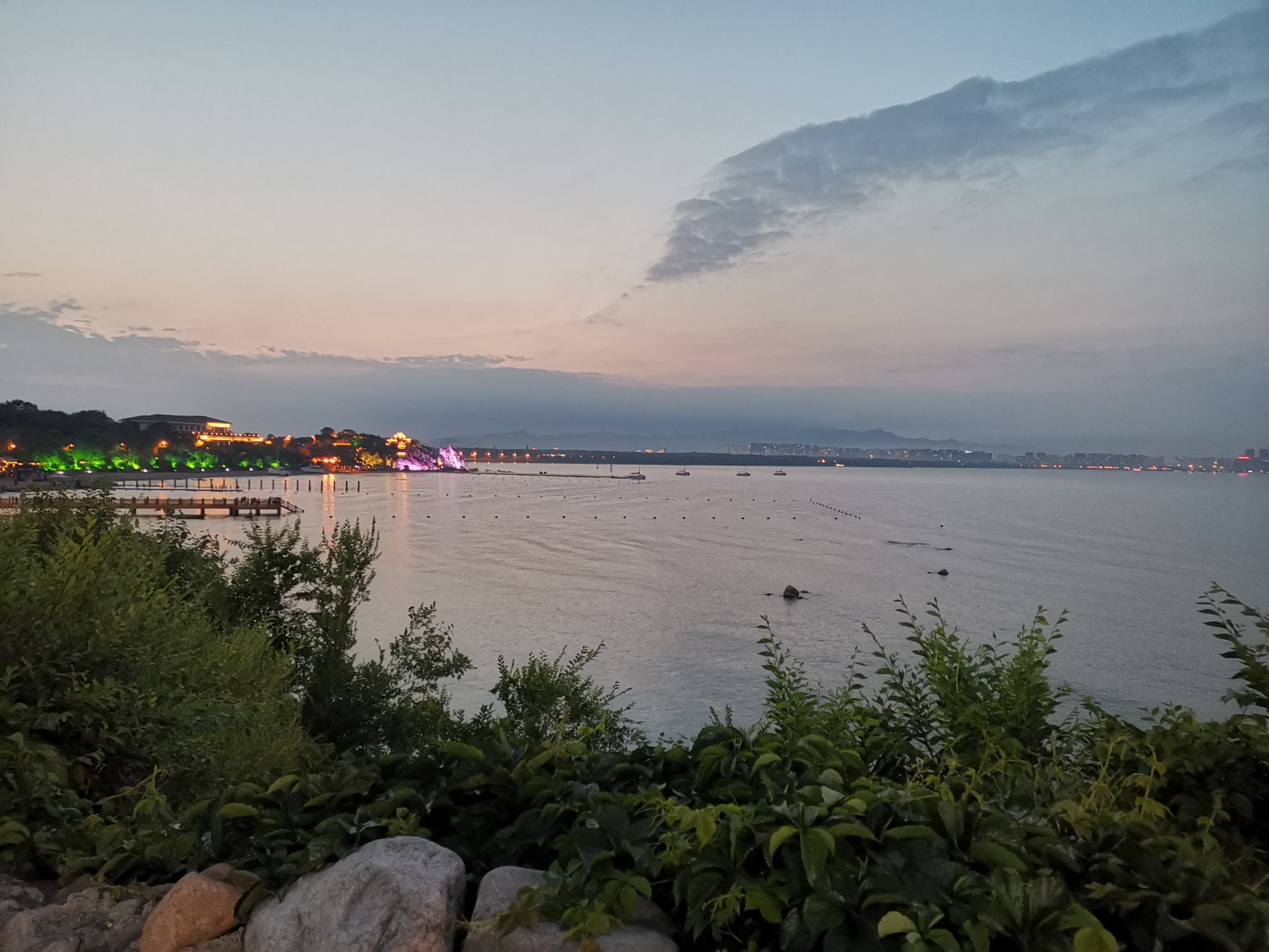 IMG_20190616_200129.jpg