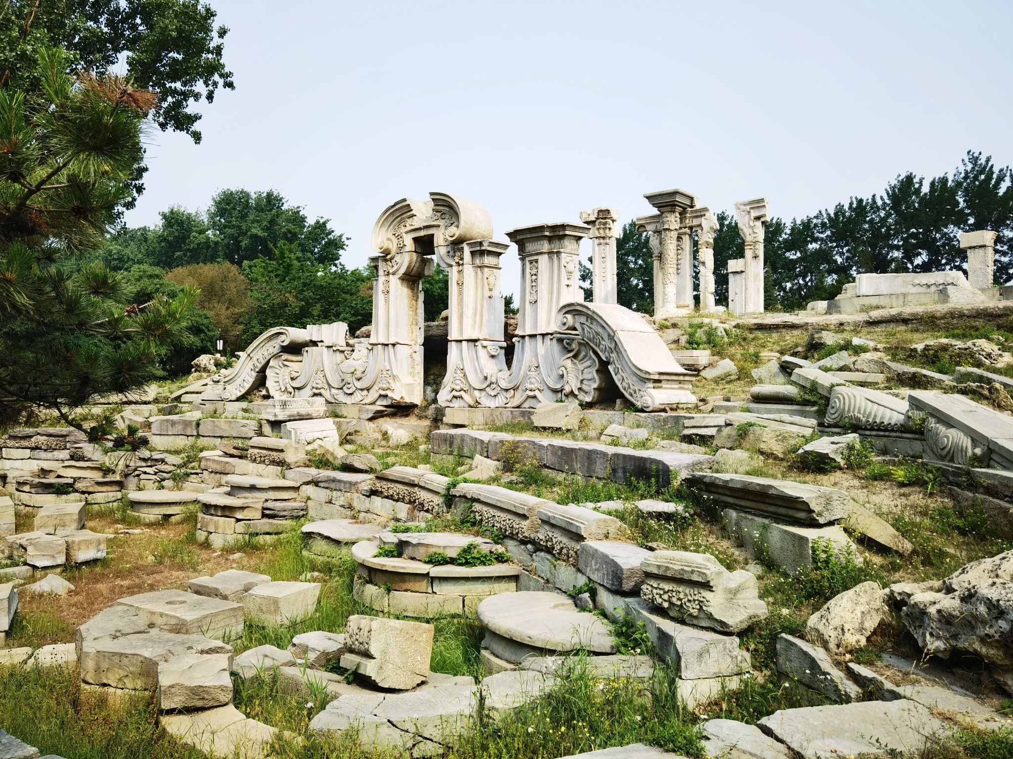 IMG_20210520_092756-01.jpeg