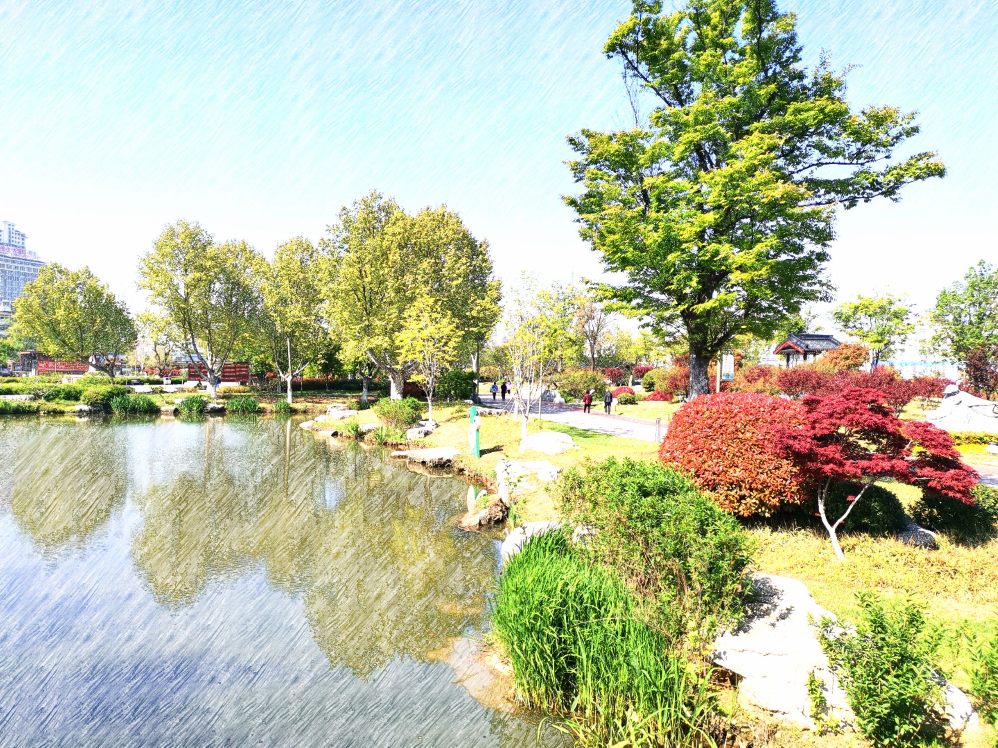IMG_20210521_092840.jpg