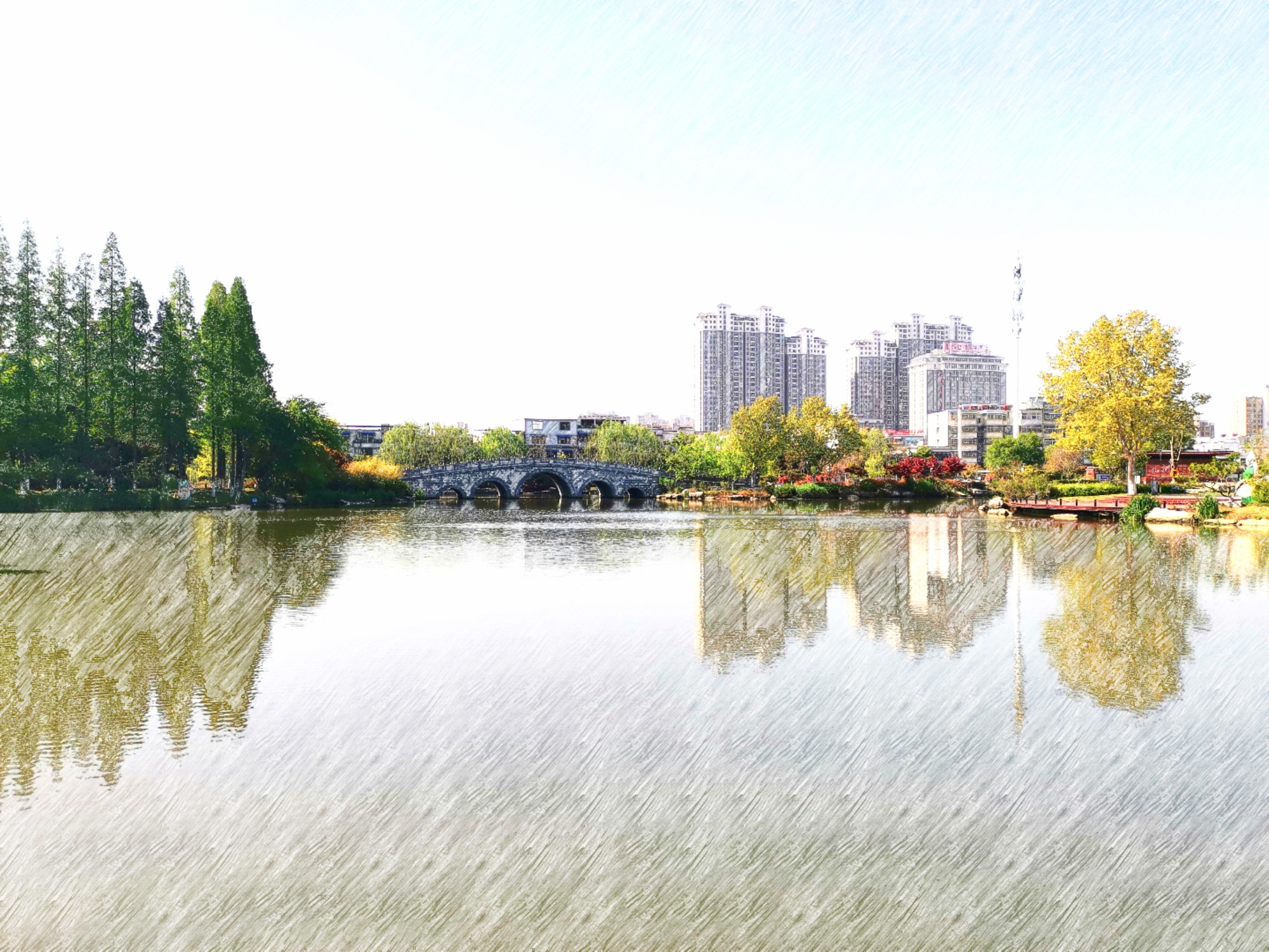 IMG_20210521_092925.jpg