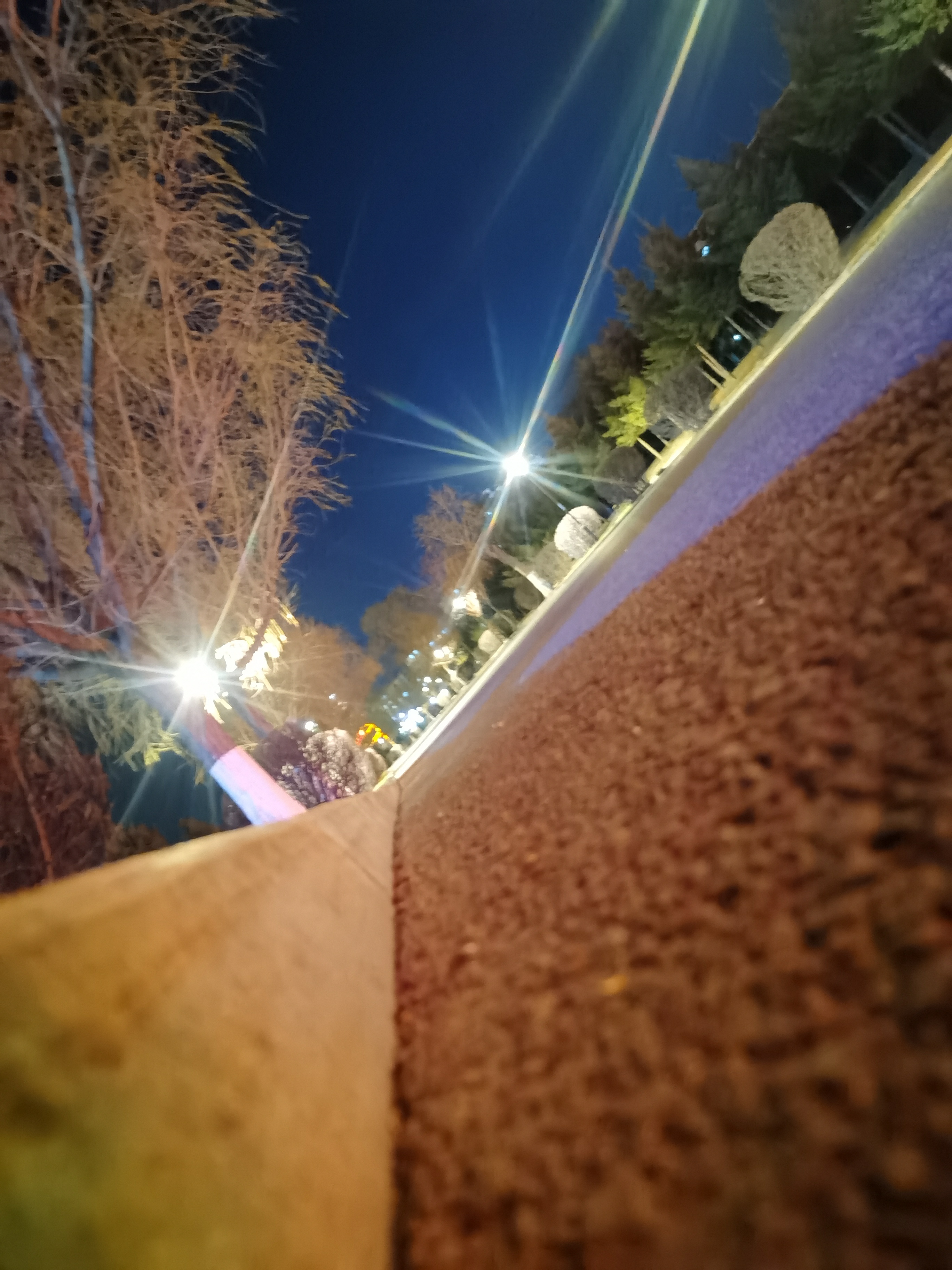 IMG_20210420_195453.jpg