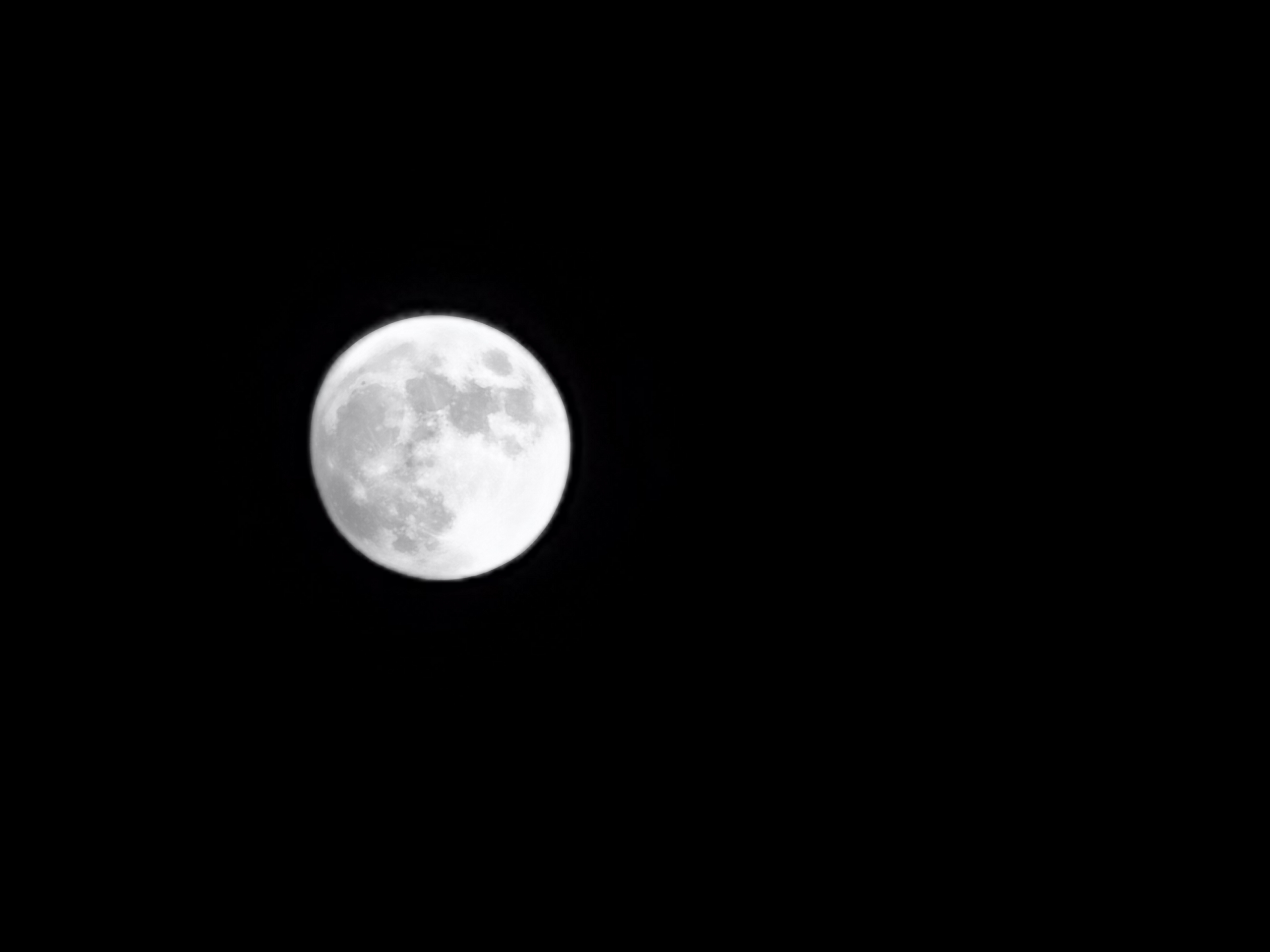 IMG_20200802_200231.jpg