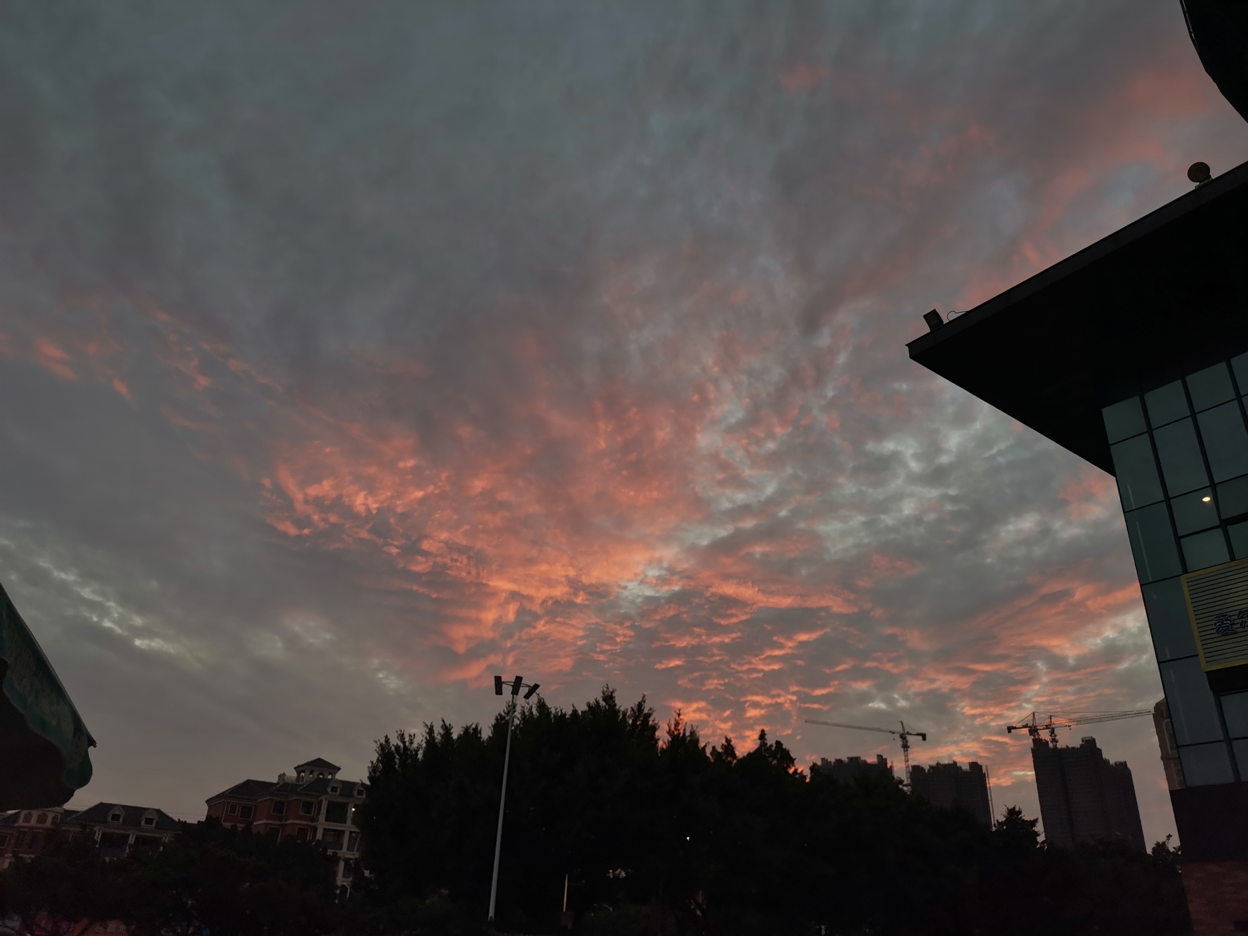 IMG_20201129_174334.jpg
