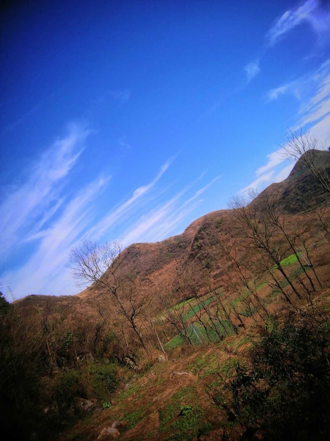IMG_20200107_143505.jpg