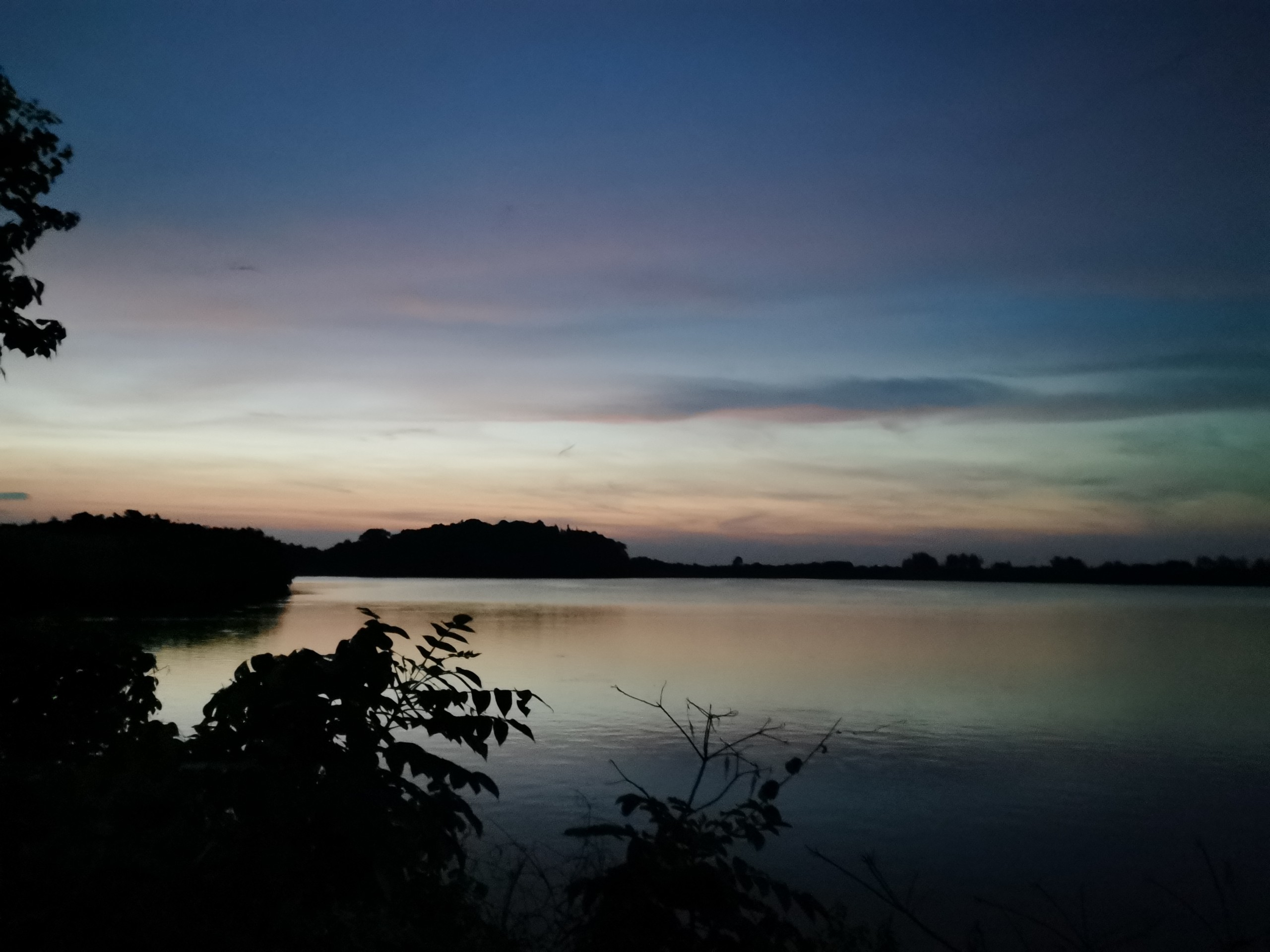 IMG_20200805_195450.jpg