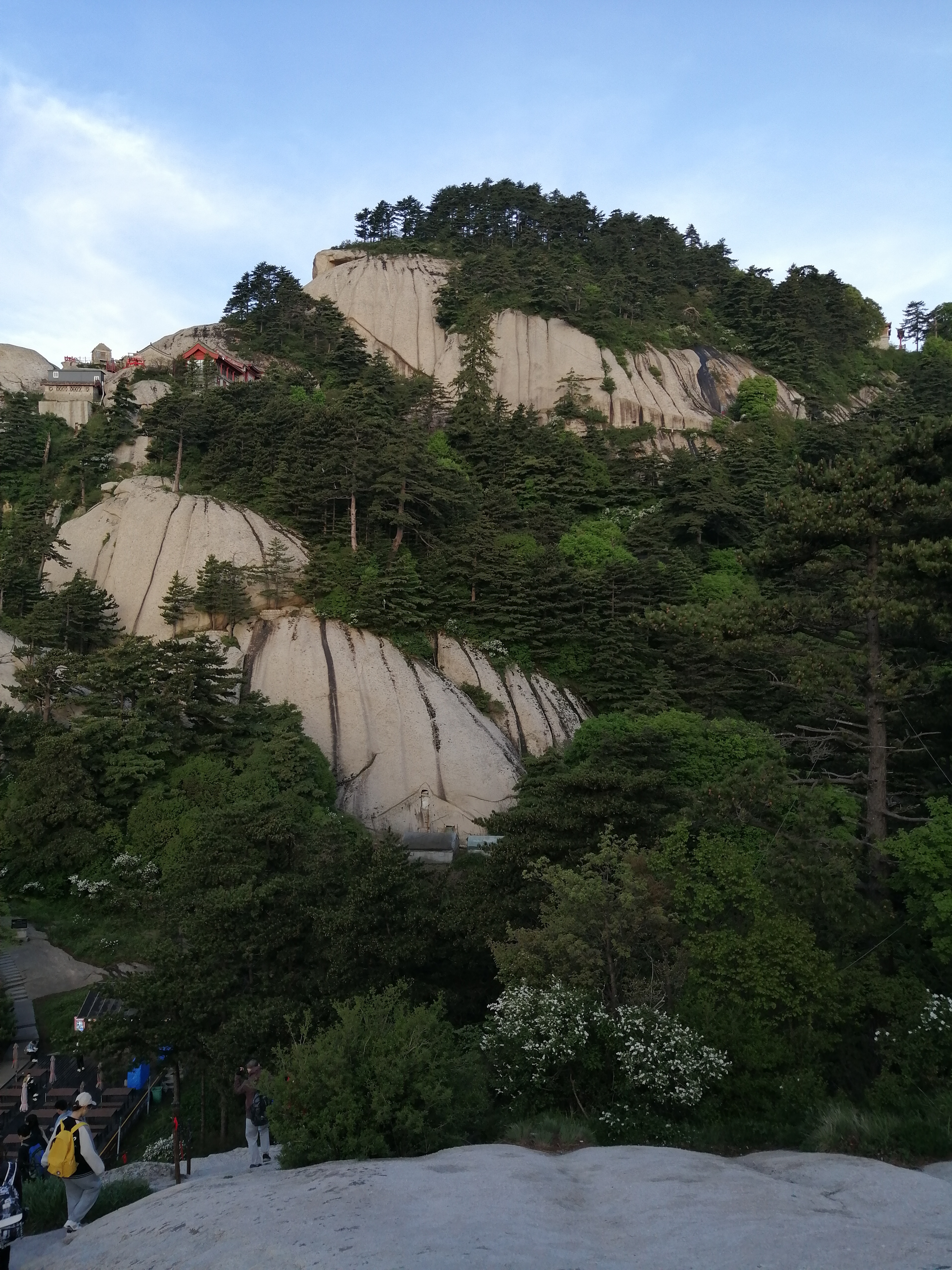 IMG_20210518_060443.jpg