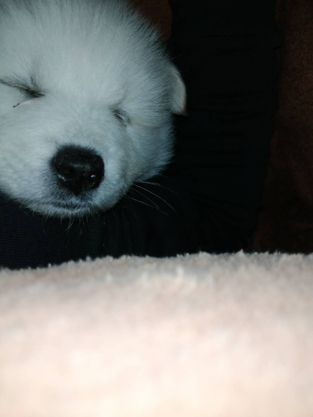 IMG_20201124_212200.jpg