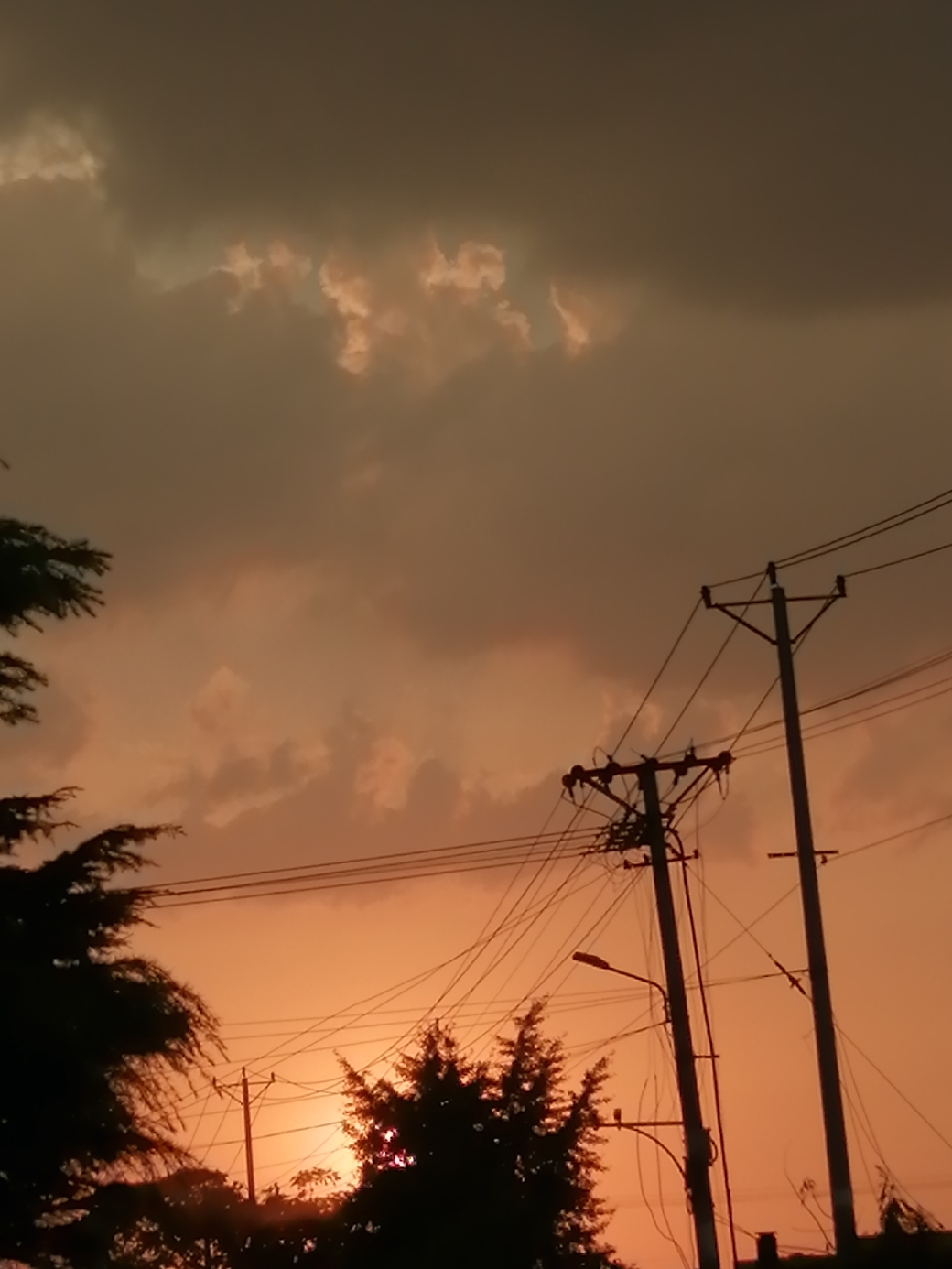 IMG_20200902_181001.jpg
