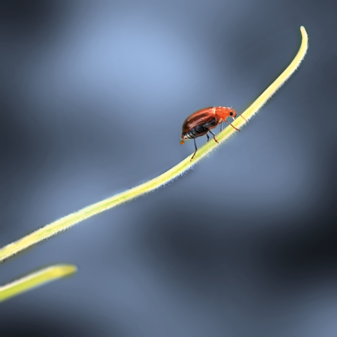 4e2045a05144e6e0eb05a6ad4f40bf90.jpg