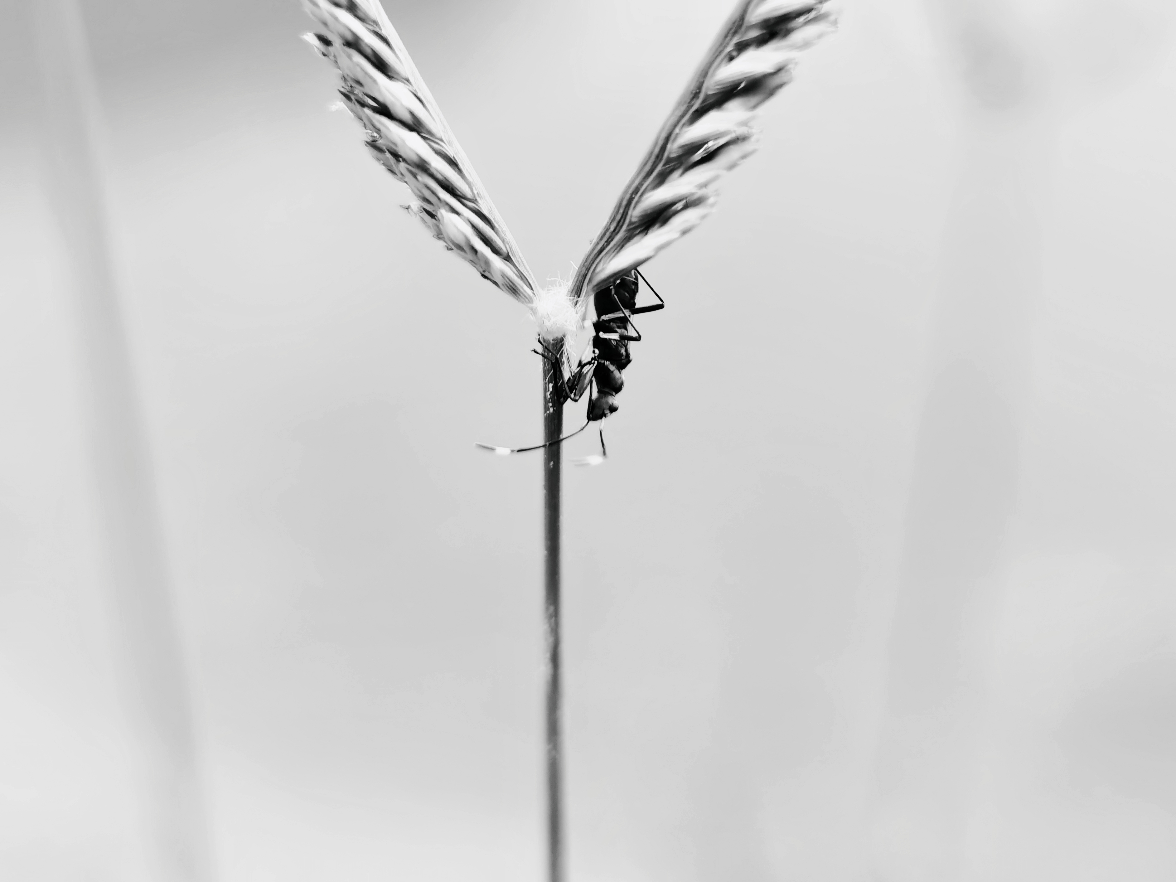 retouch_20210520002345.jpg