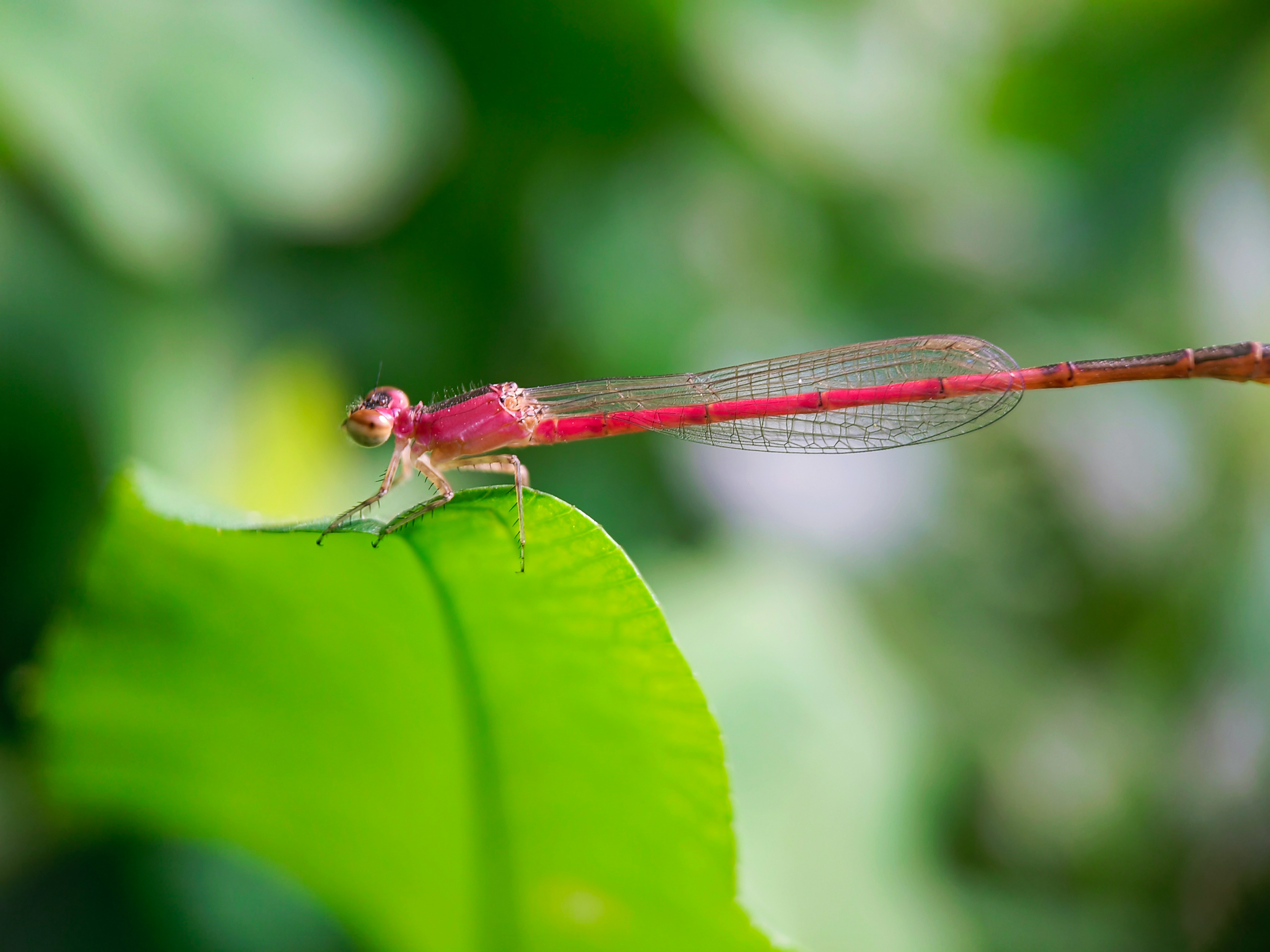 IMG_20210419_085728_polarr.jpg