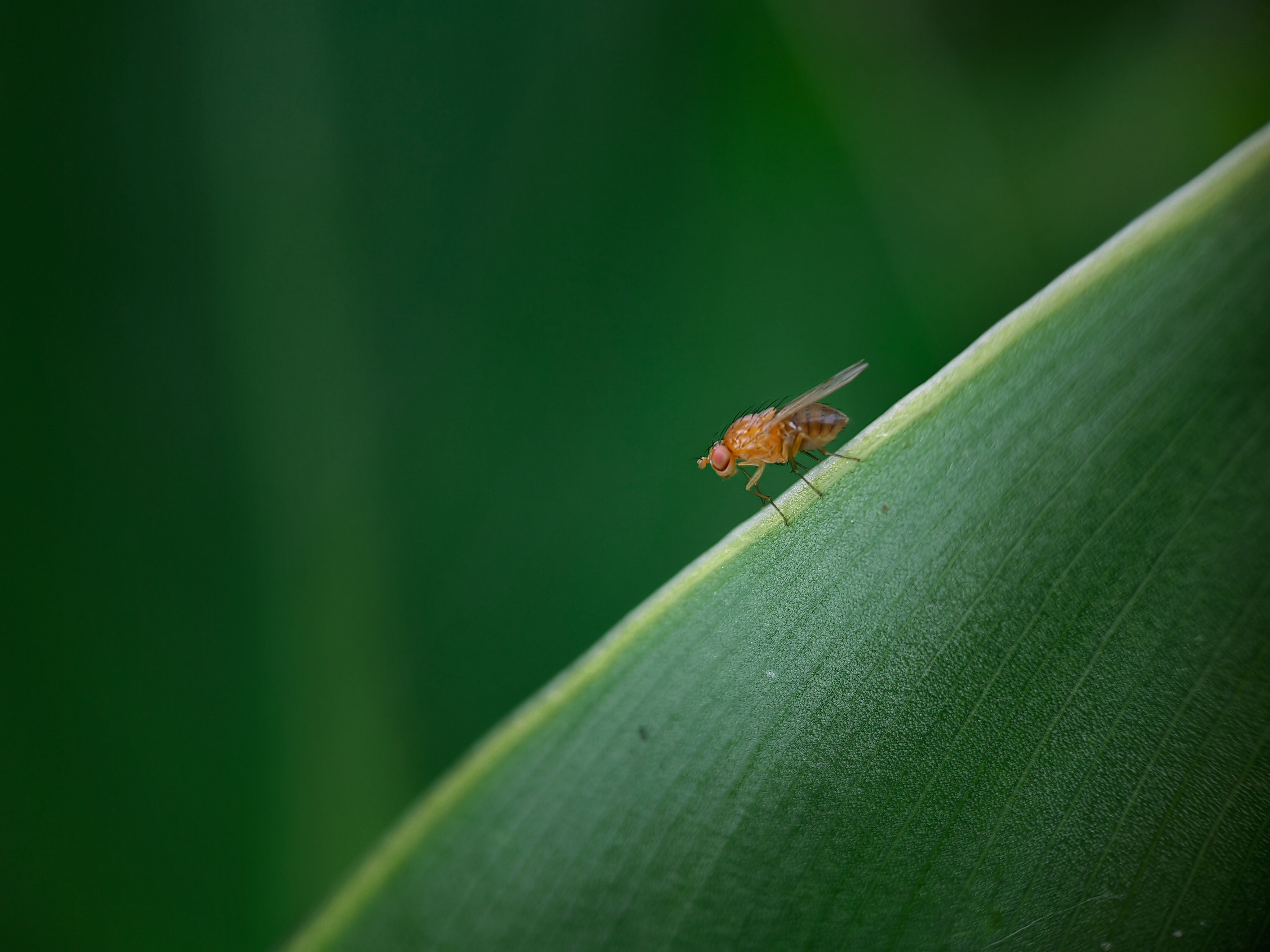 IMG_20210423_082628_polarr.jpg