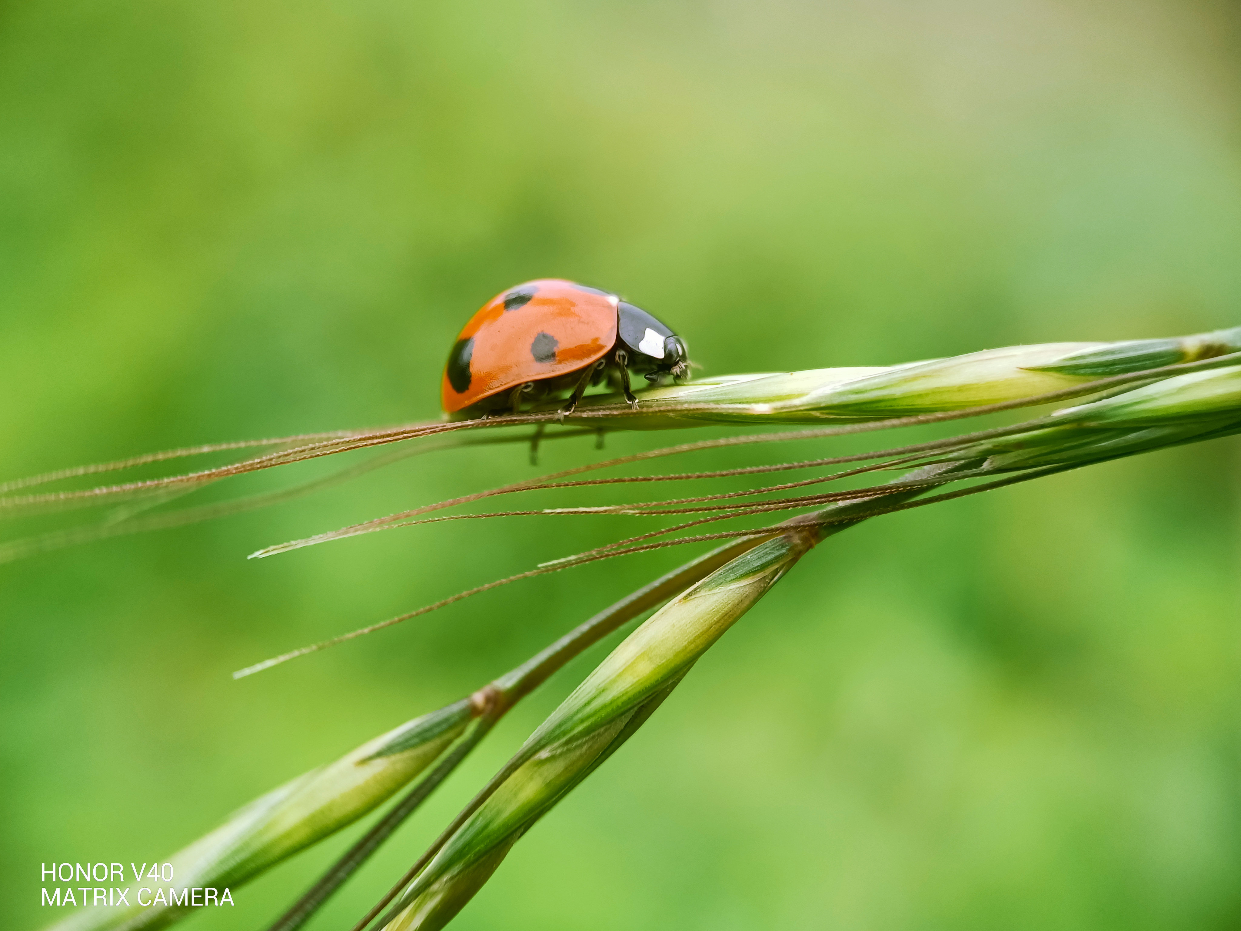 IMG_20210518_135020_polarr.jpg