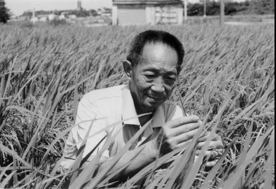n.sinaimg.jpg