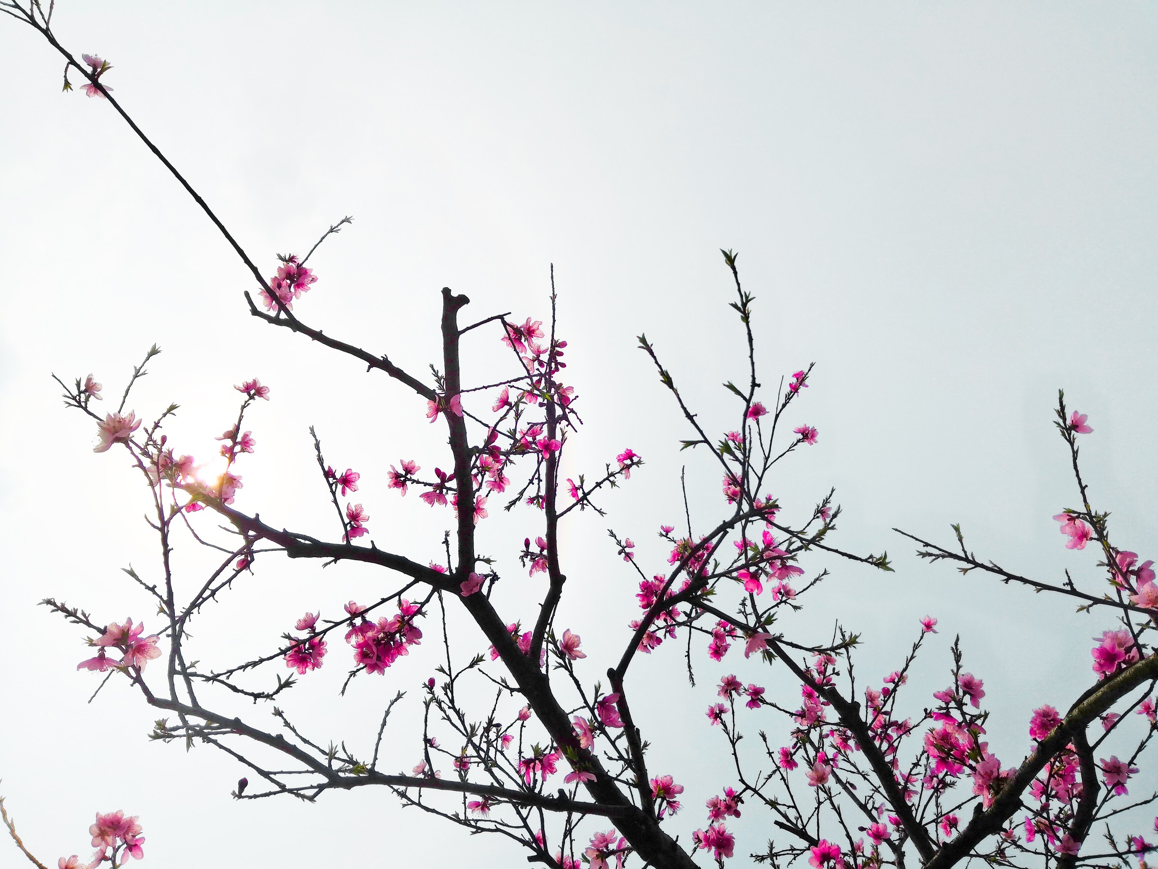 IMG_20190324_113007_polarr.jpg