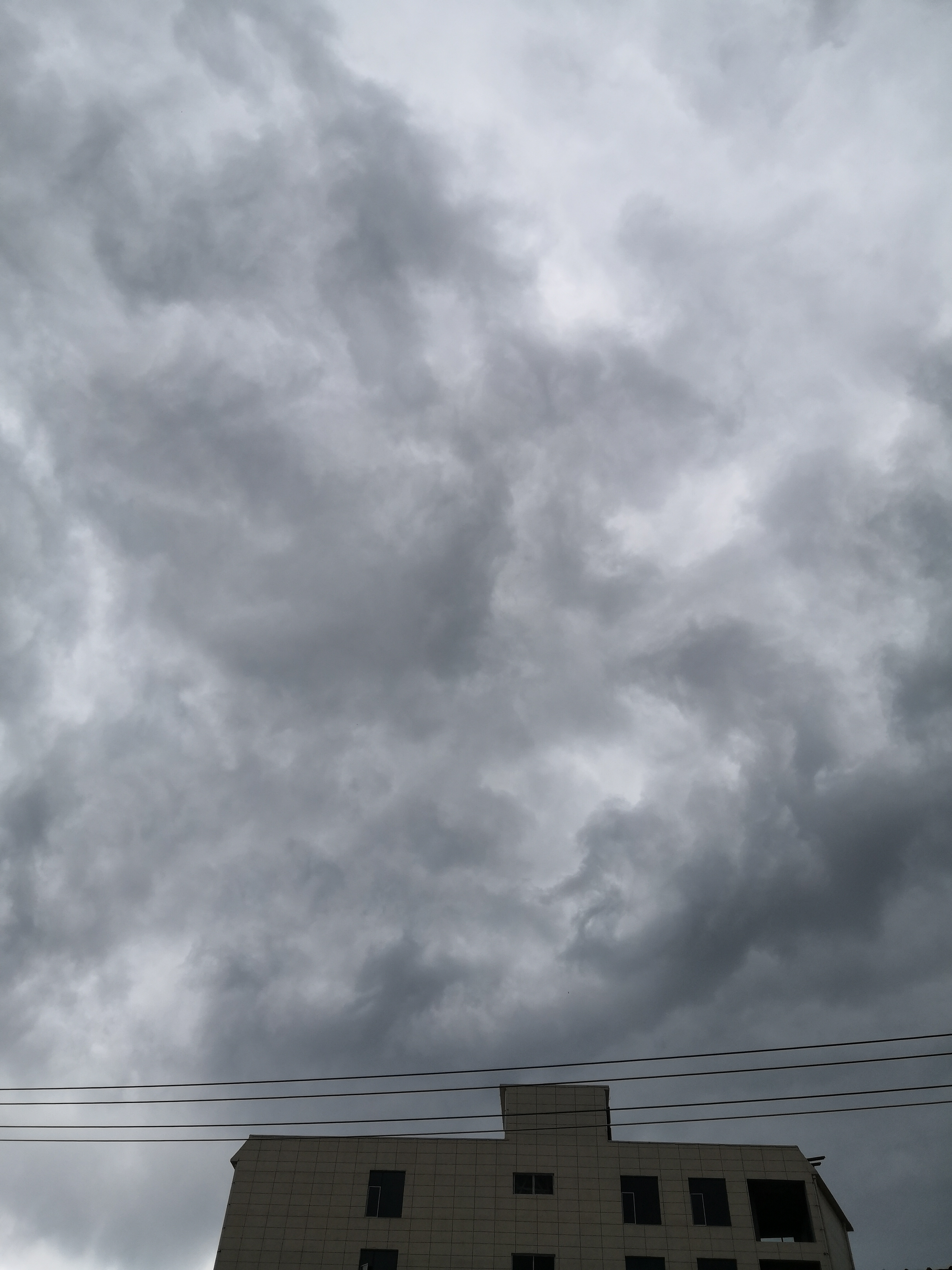 IMG_20210523_112638.jpg