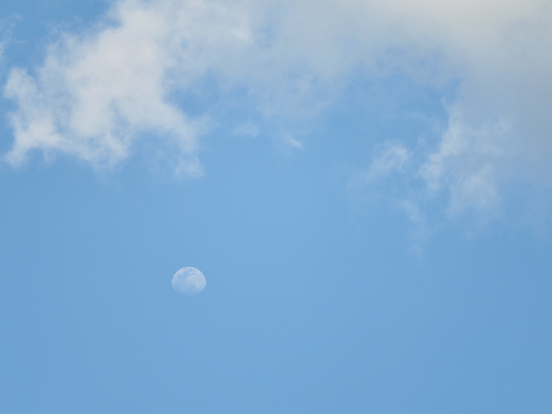 d79414c1898f059.jpg