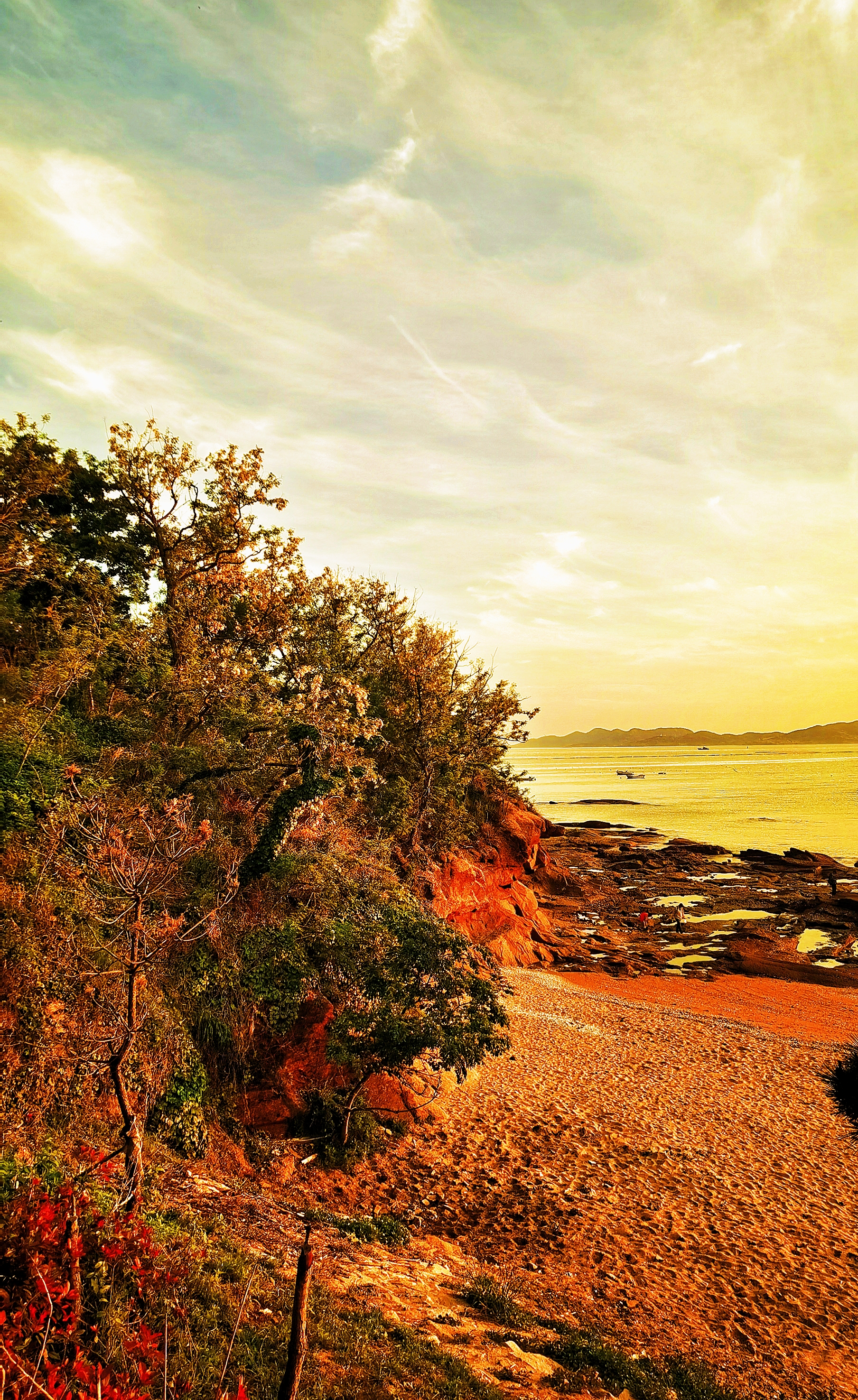 retouch_2021052413005303.jpg