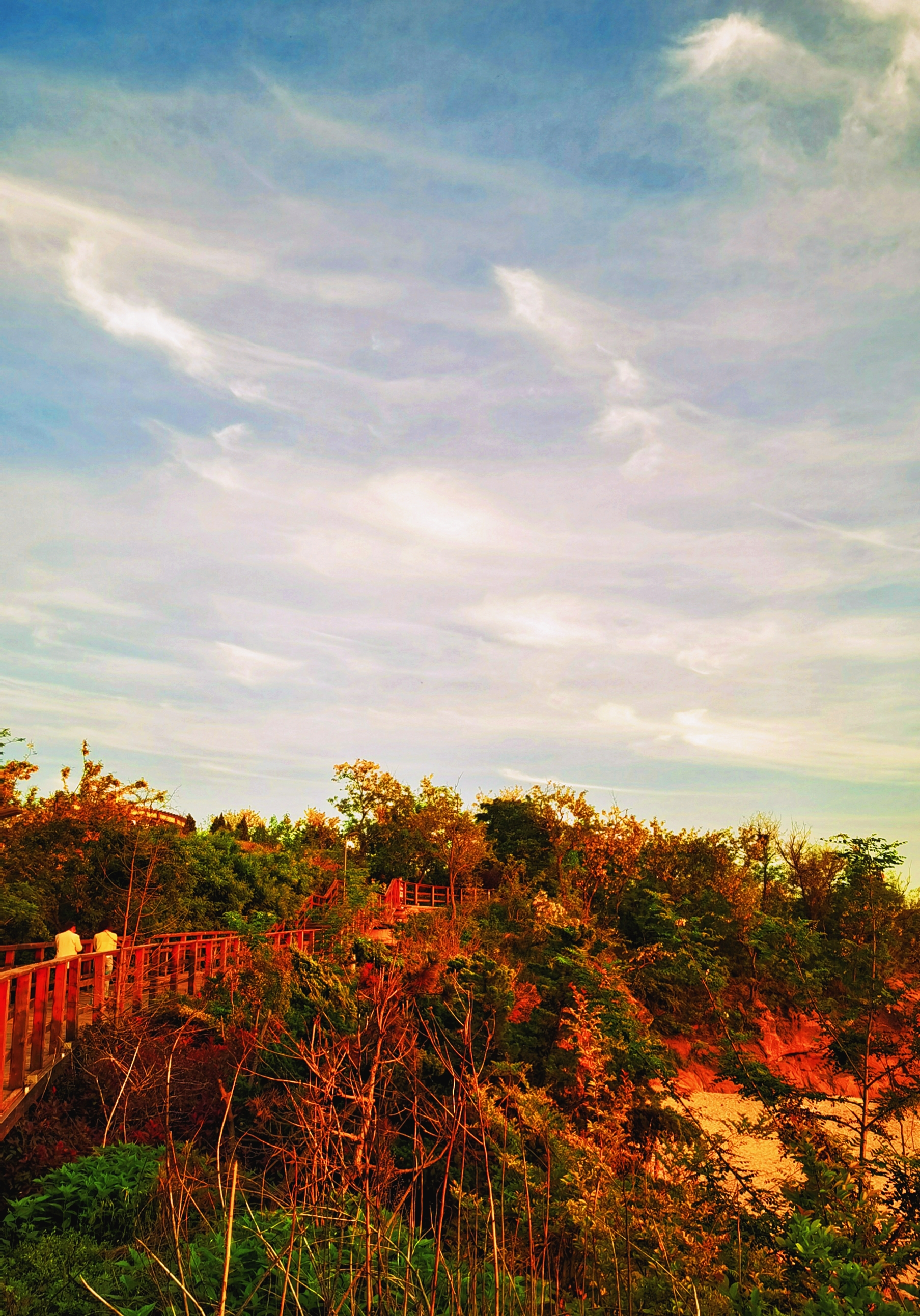 retouch_2021052413154004.jpg