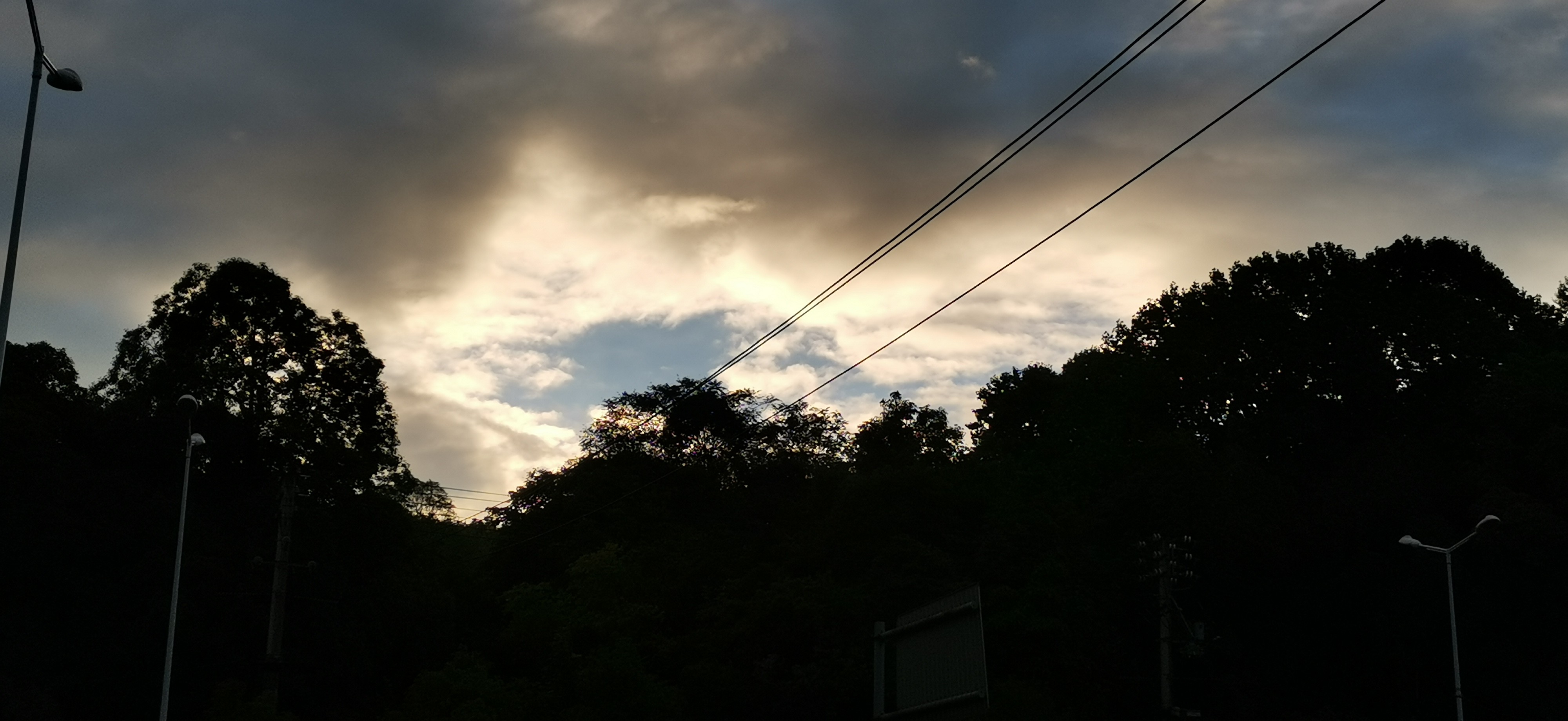 IMG_20200817_065434.jpg