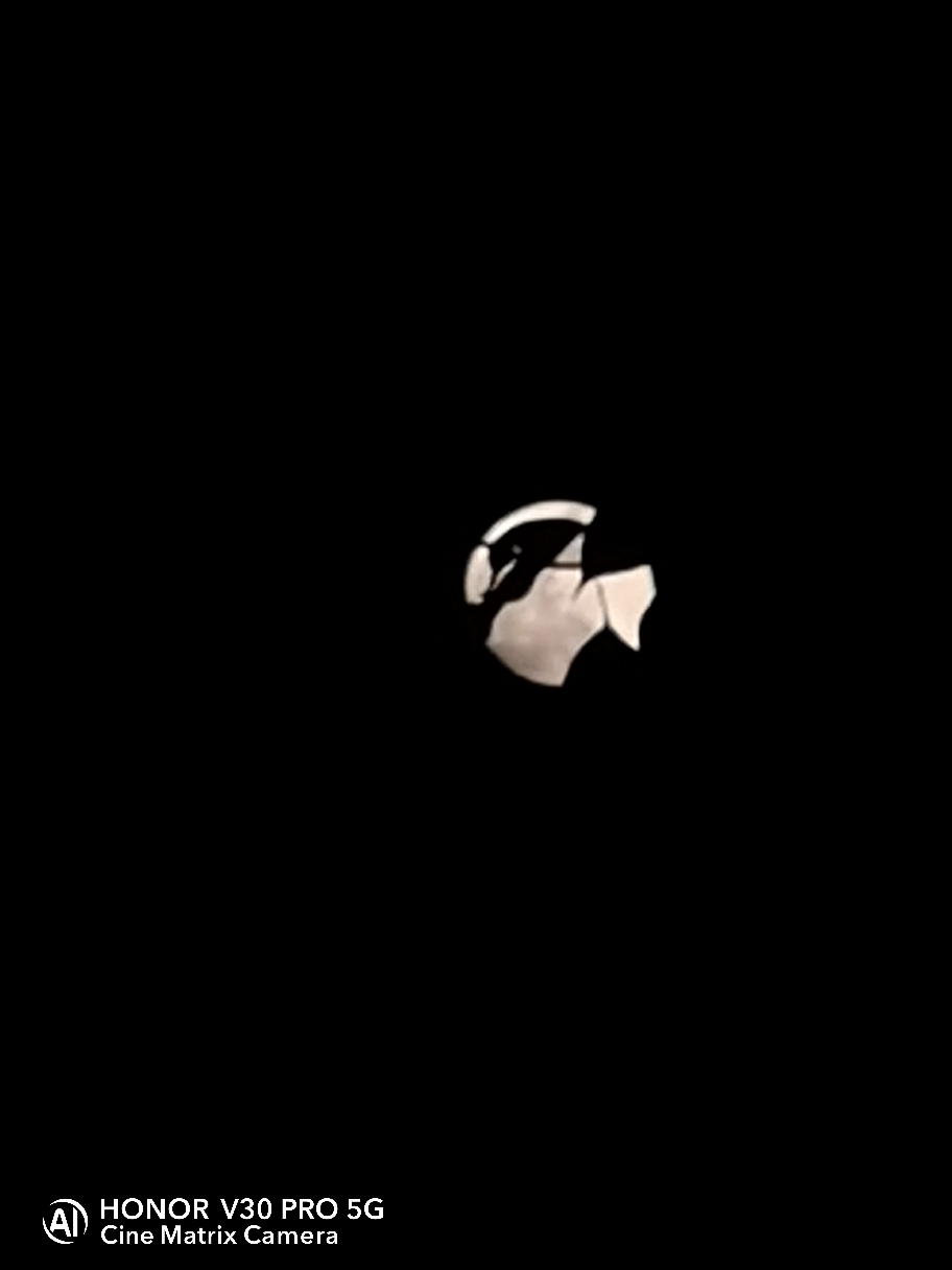 IMG_20201228_175331.jpg