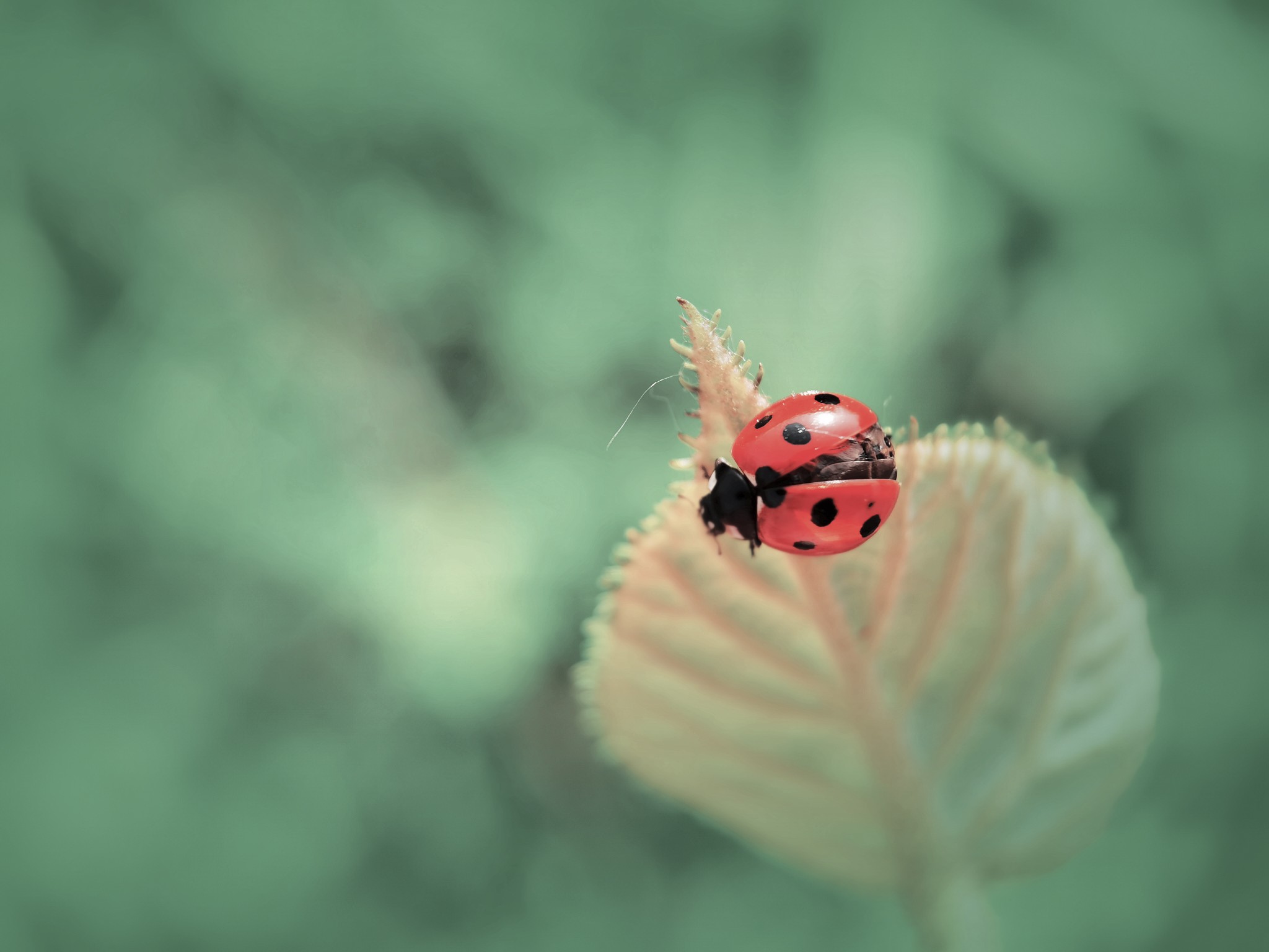 IMG_20210524_080310_副本.jpg