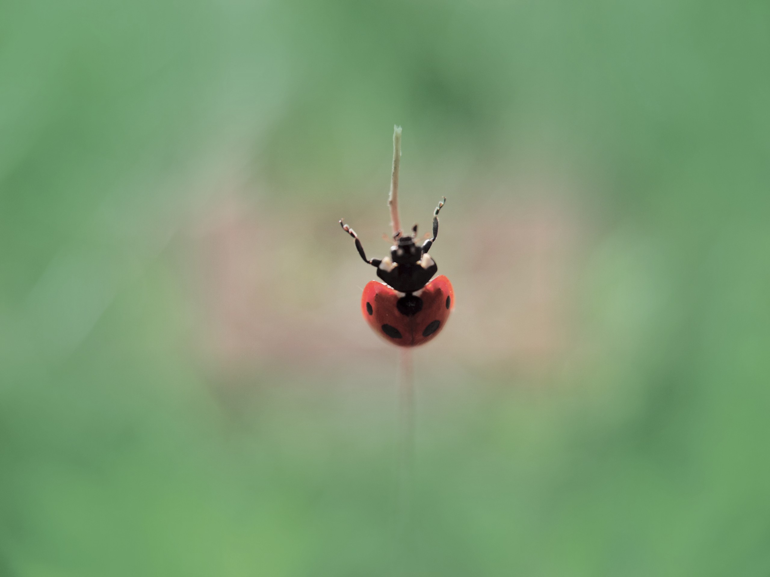 IMG_20210524_075412_副本.jpg