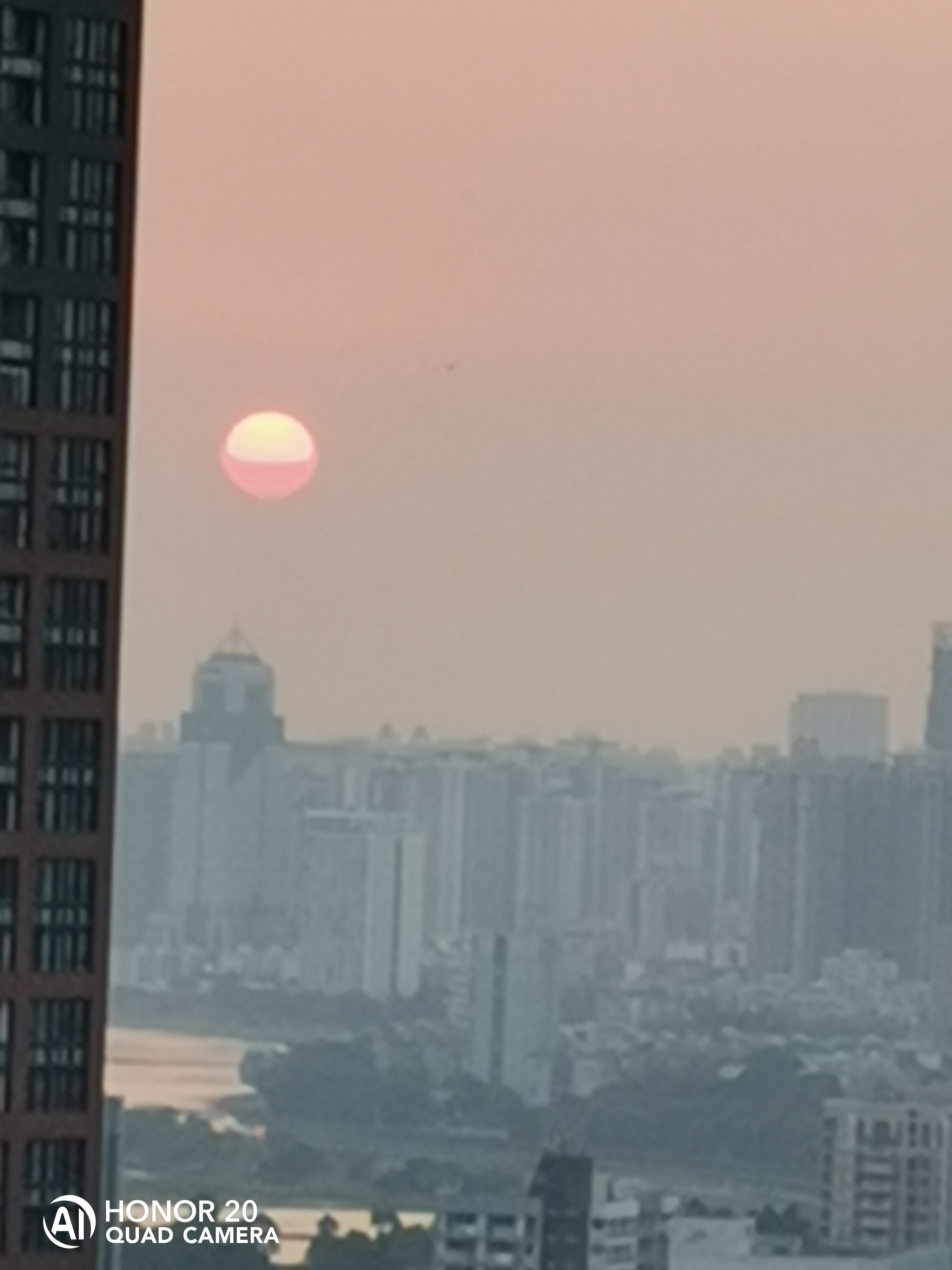 IMG_20191120_172818.jpg