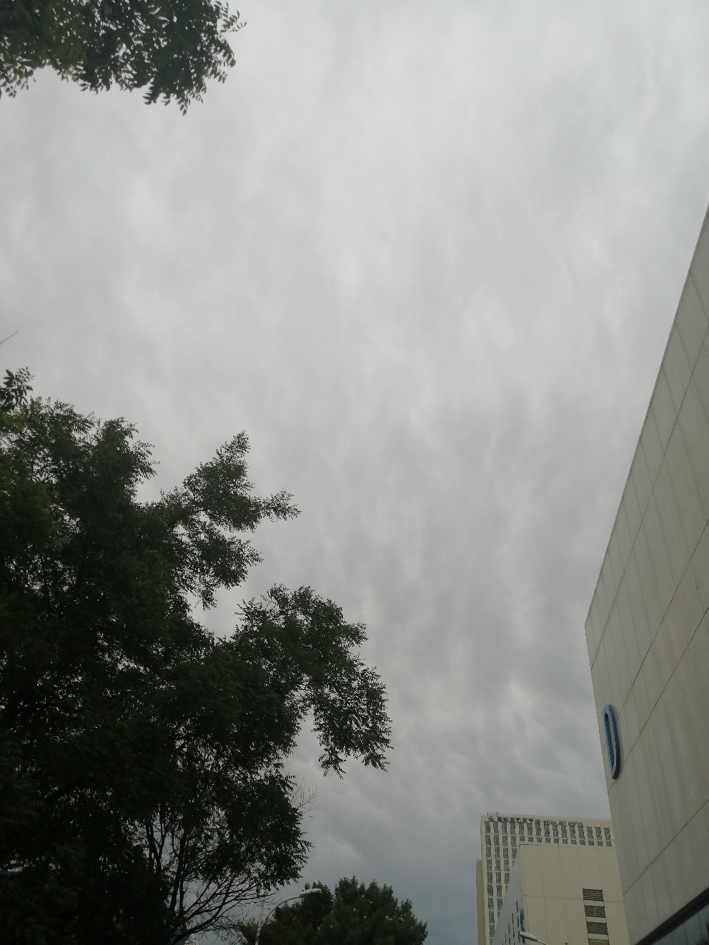 IMG_20210526_164904.jpg