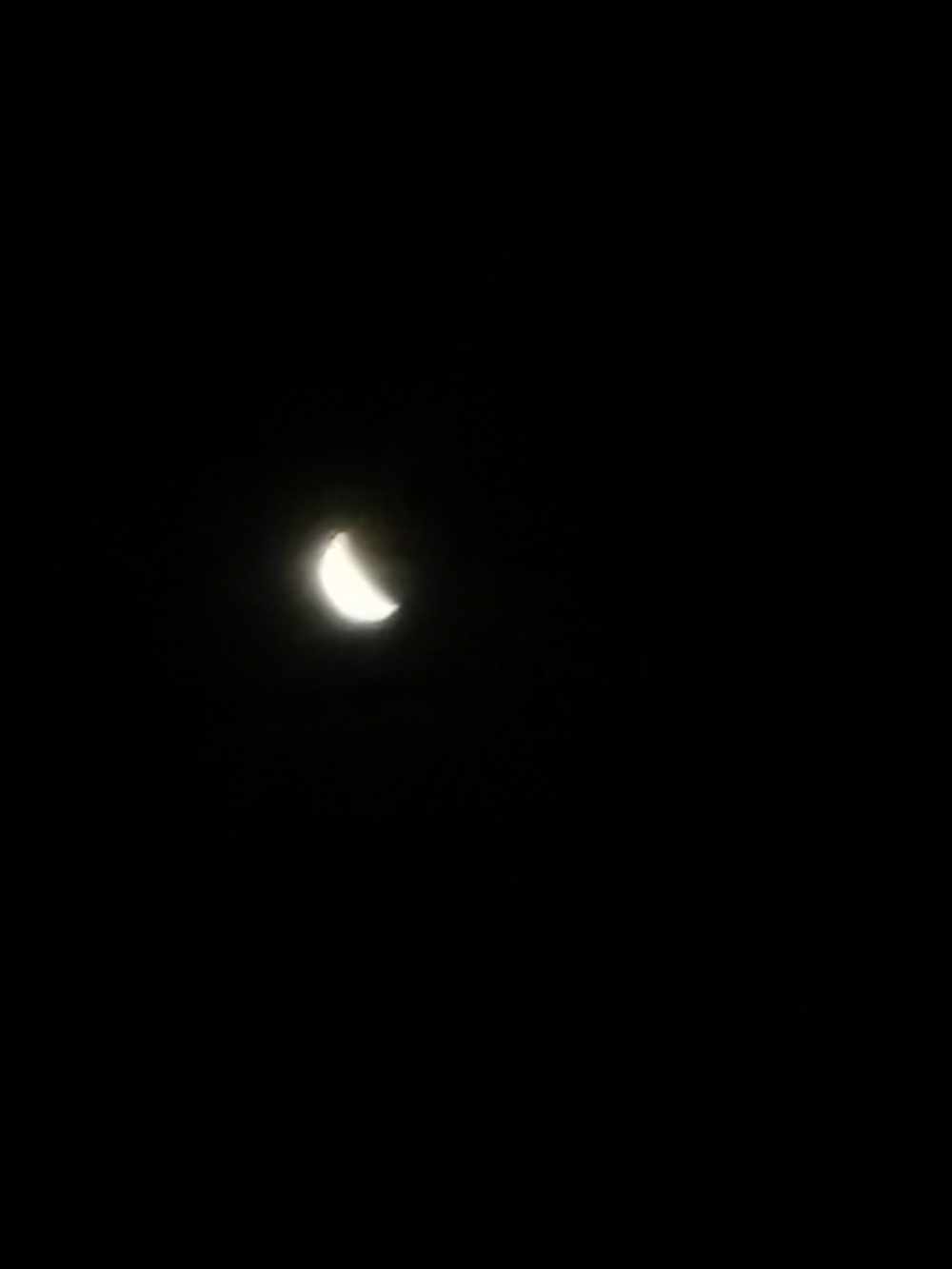 IMG_20210526_201409.jpg