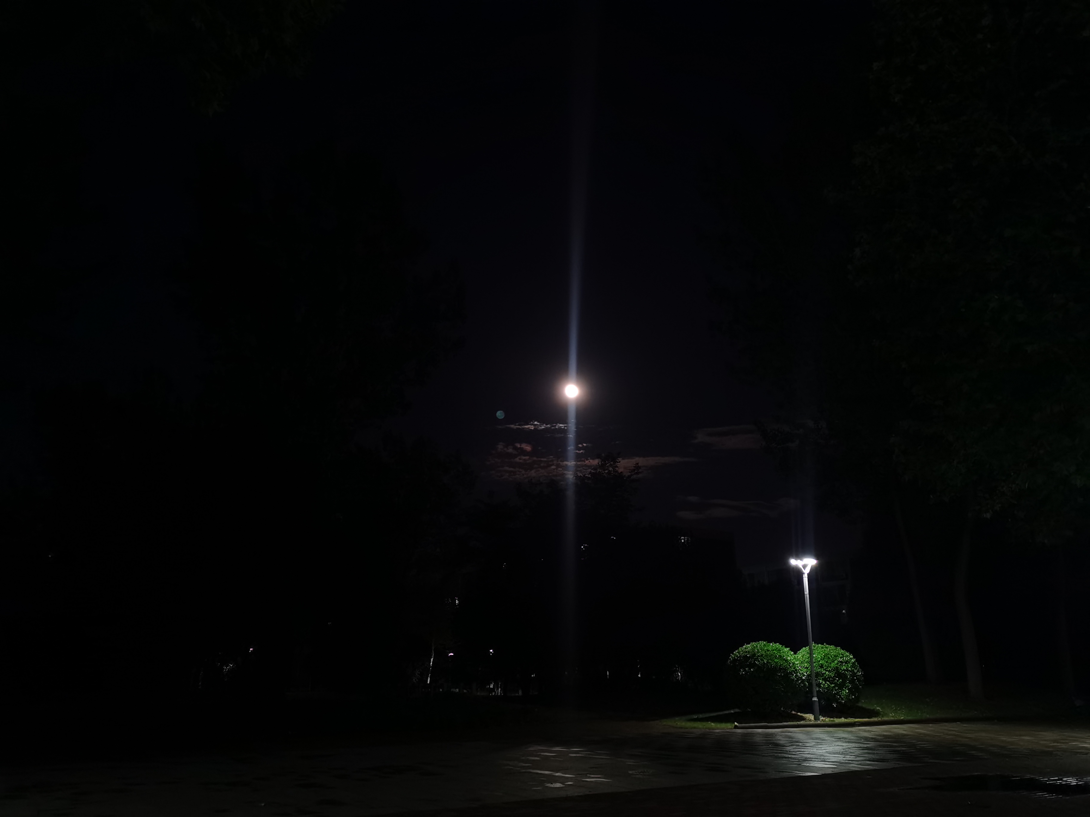 IMG_20210526_214244.jpg