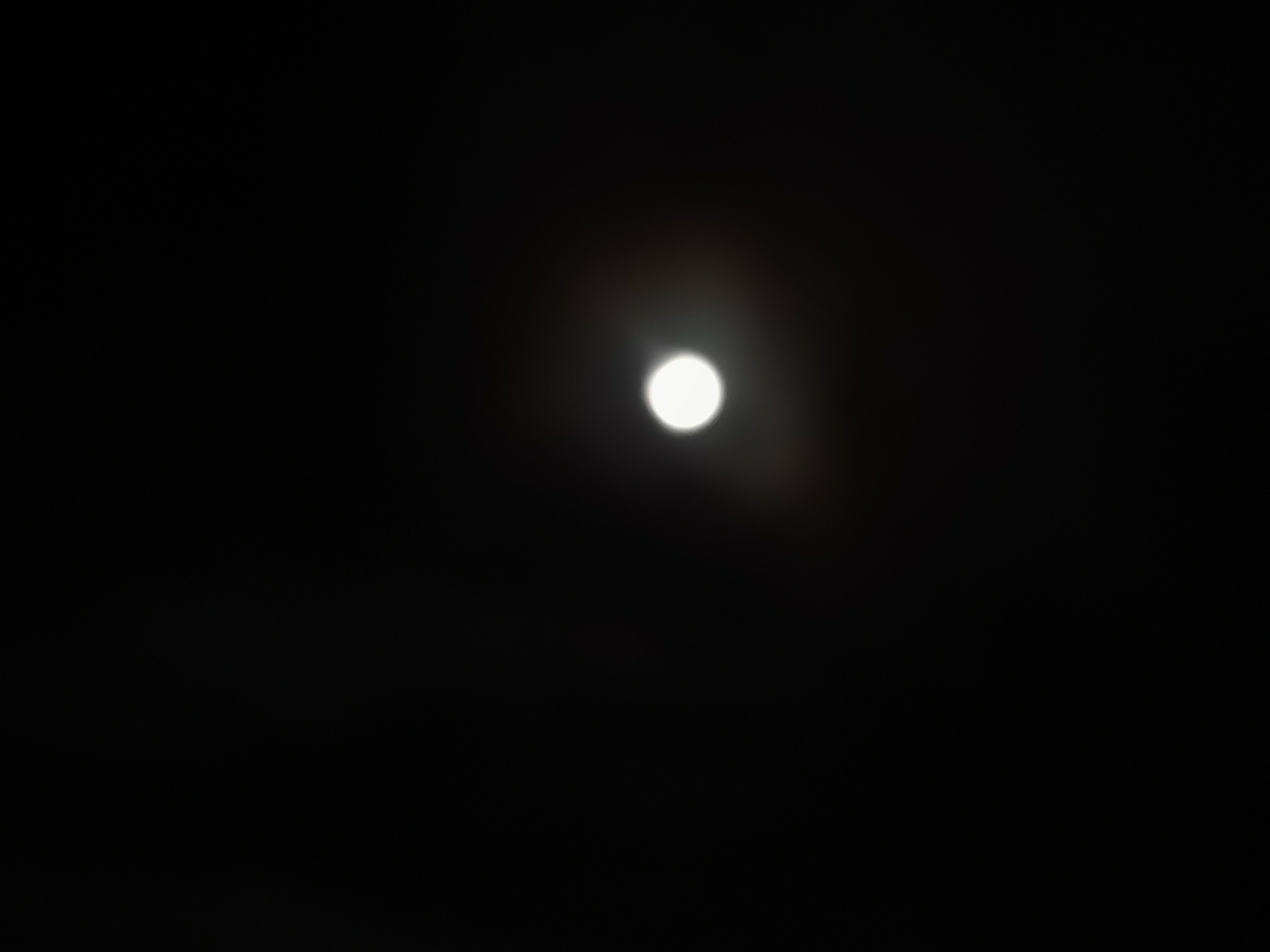 IMG_20210526_233242.jpg