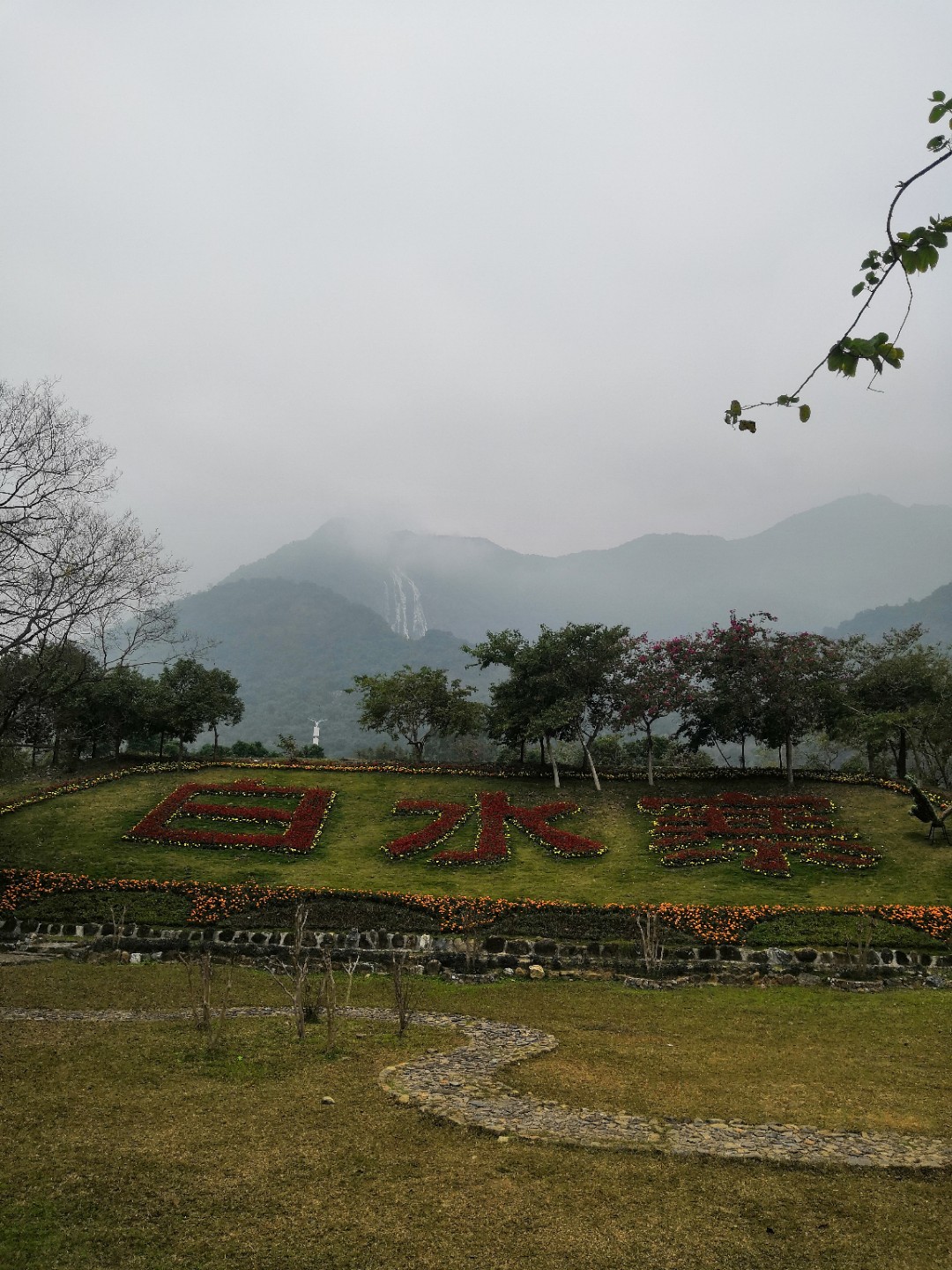 IMG_20190113_102713.jpg