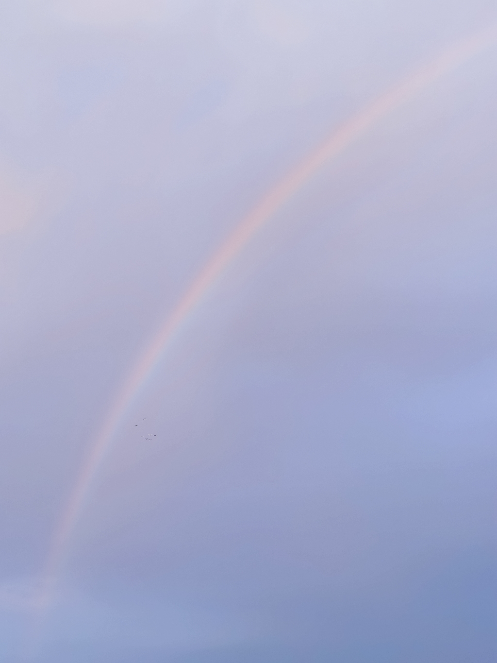 IMG_20210526_190227_副本.jpg