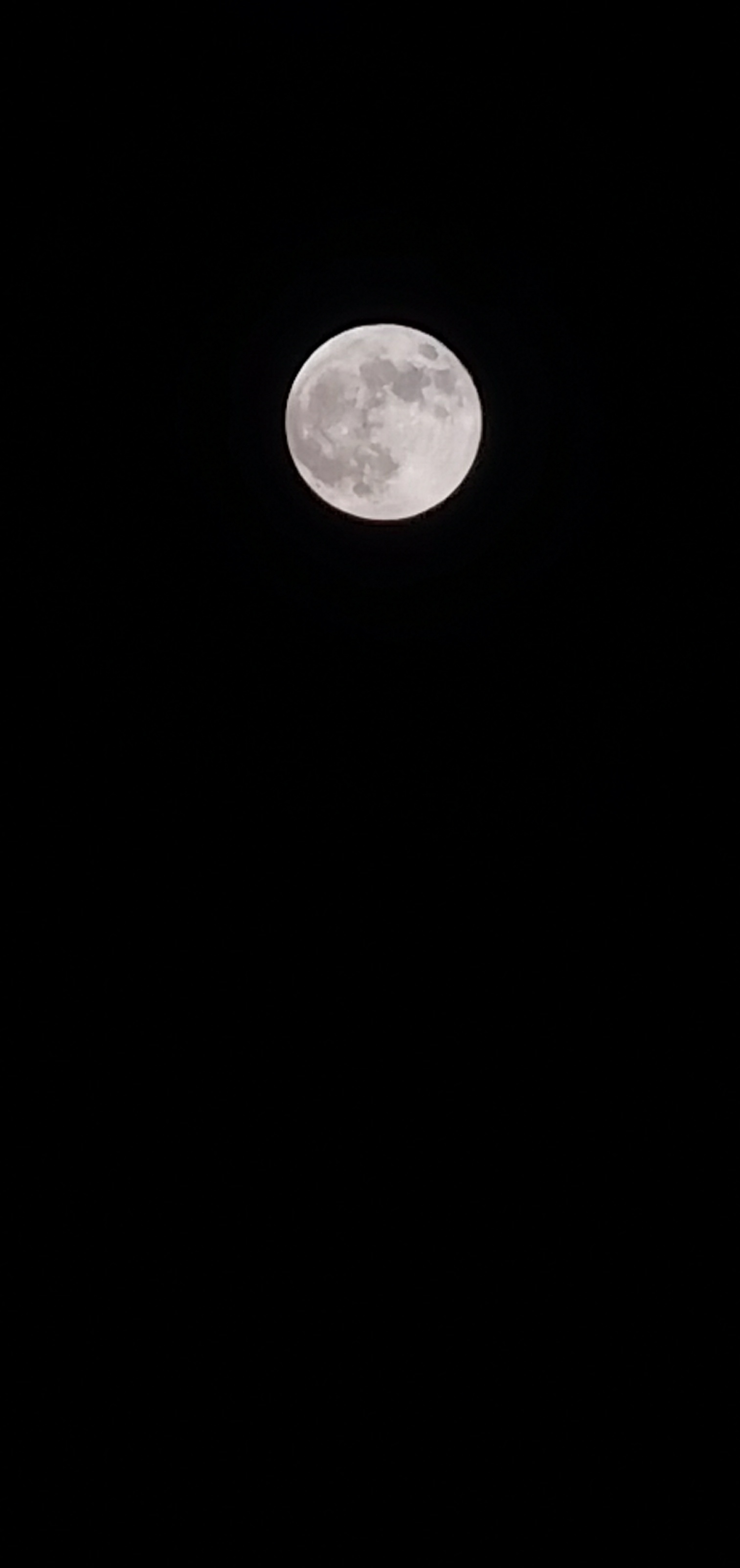 IMG_20210526_232856.jpg