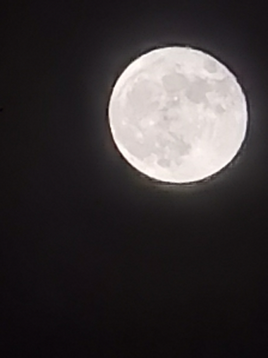 IMG_20210527_222323.jpg