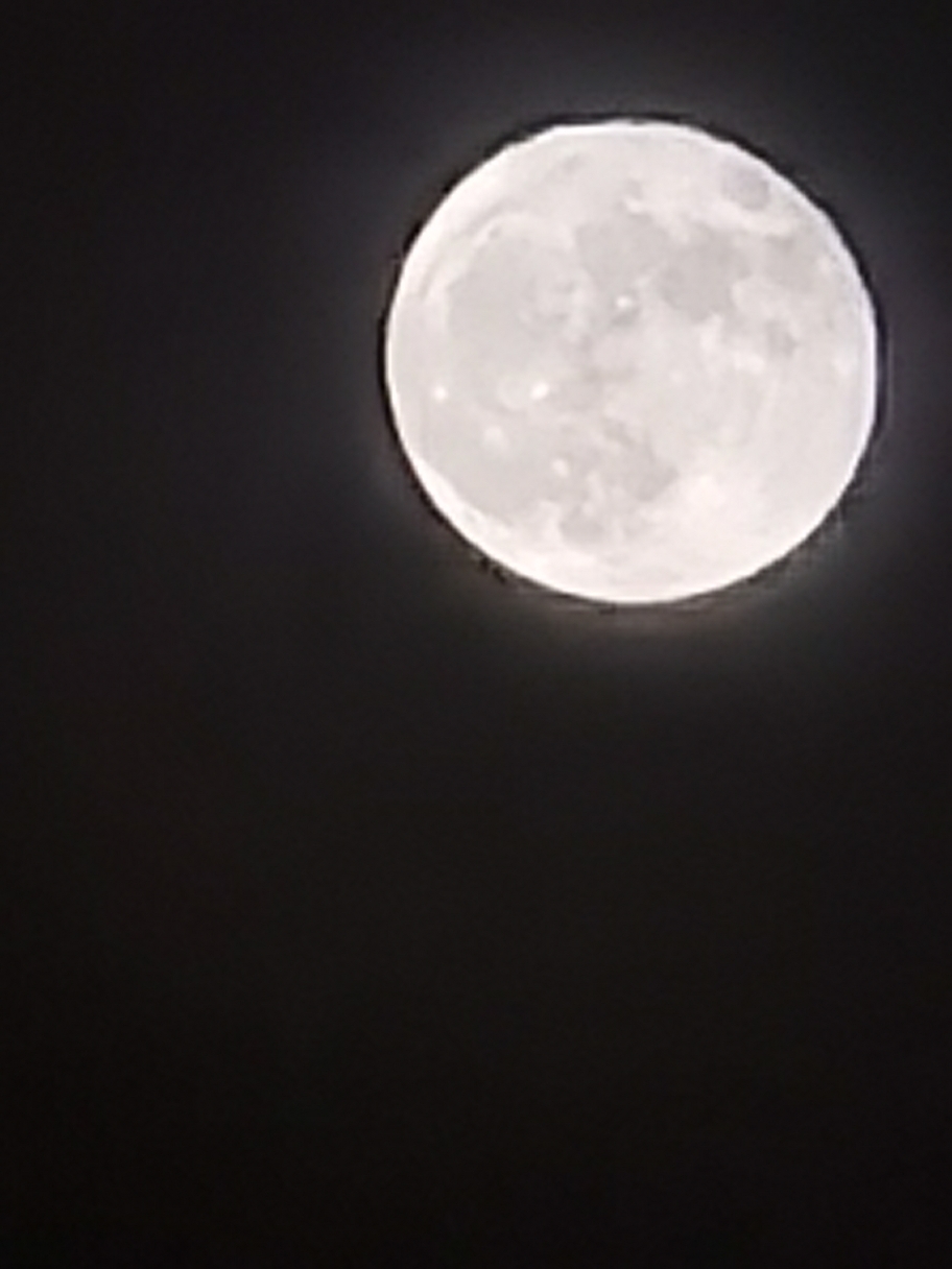 IMG_20210527_222316.jpg